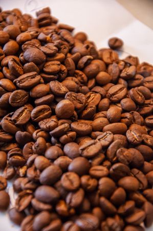 Caffè in Latta Regalo 250g — 2