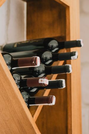 Lambrusco di Sorbara DOC Metodo Ancestrale — 4