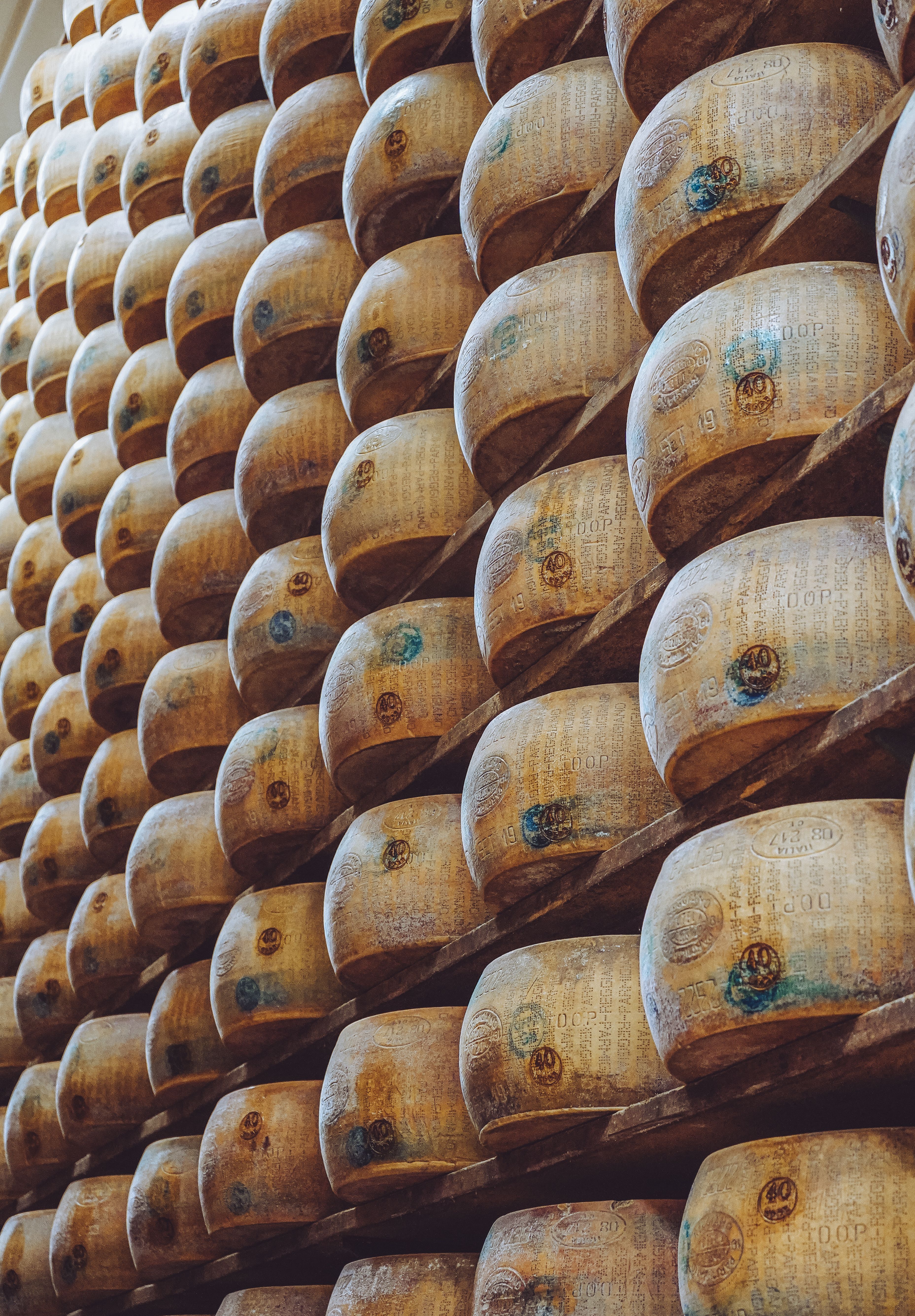 Castelmagno DOP di Alpeggio — 4