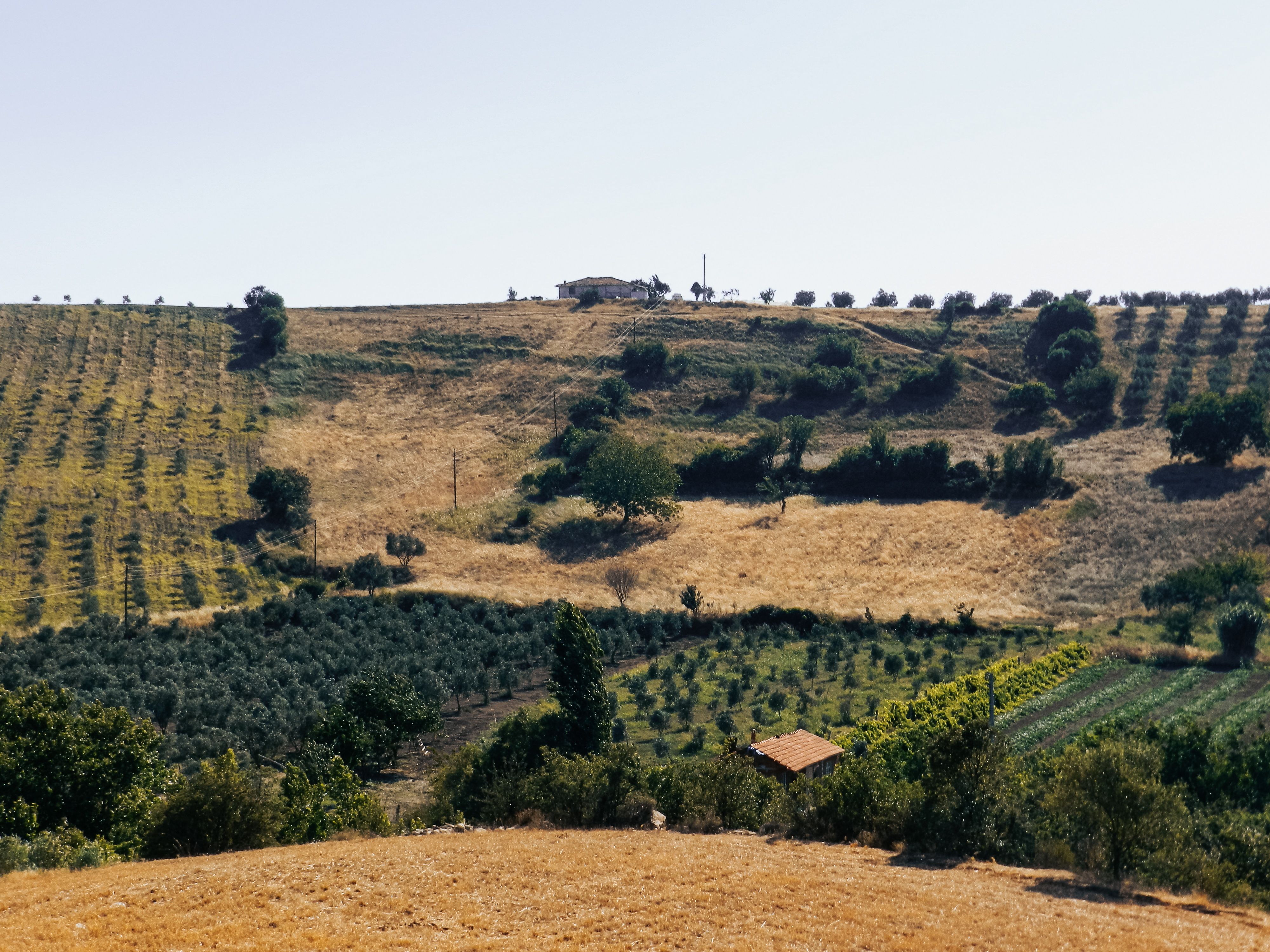 Pomodori Secchi di Puglia — 4
