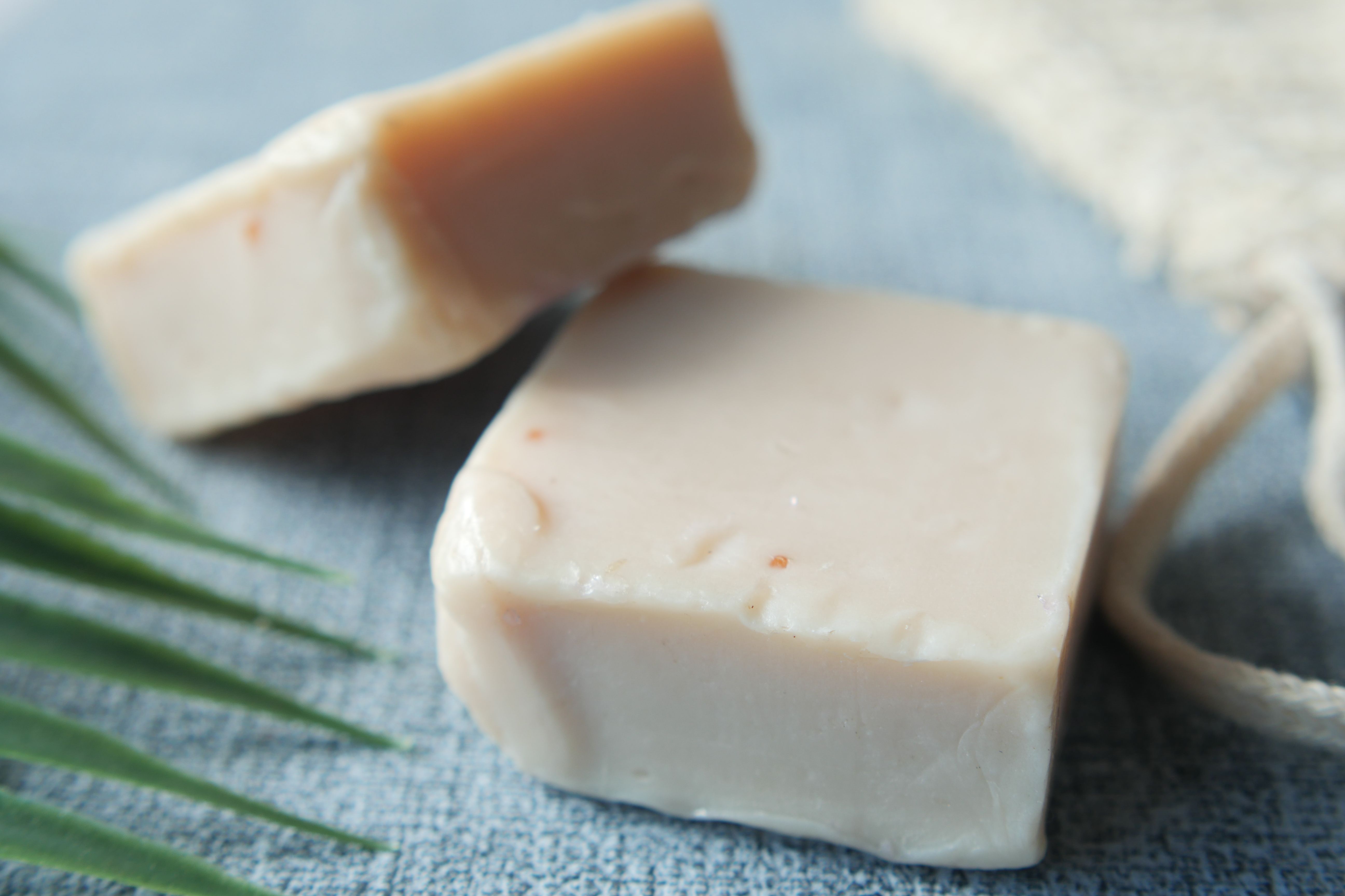 Shampoo Solido al Rosmarino