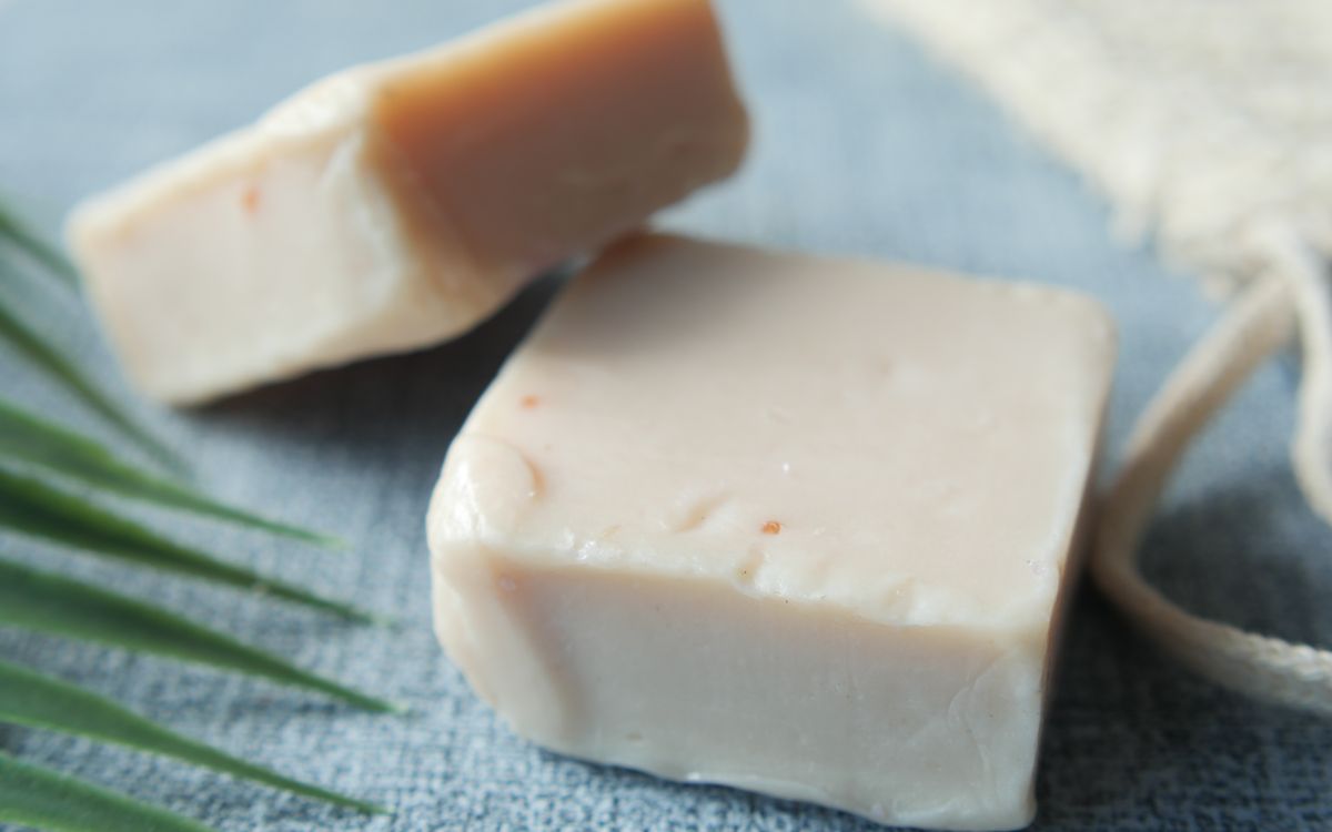 Shampoo Solido al Rosmarino