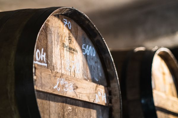 Parmigiano Reggiano DOP 36 mesi — 2