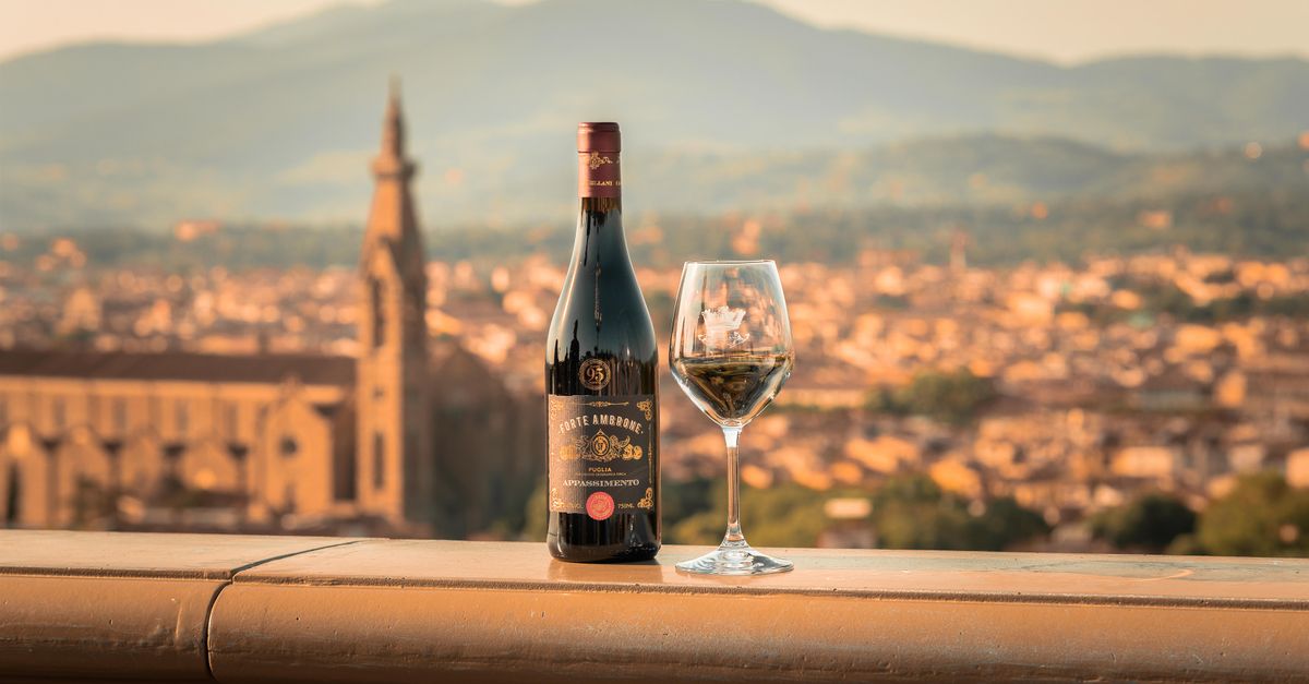 Amarone della Valpolicella Classico DOCG 2017 — Tenuta Rossovulcano