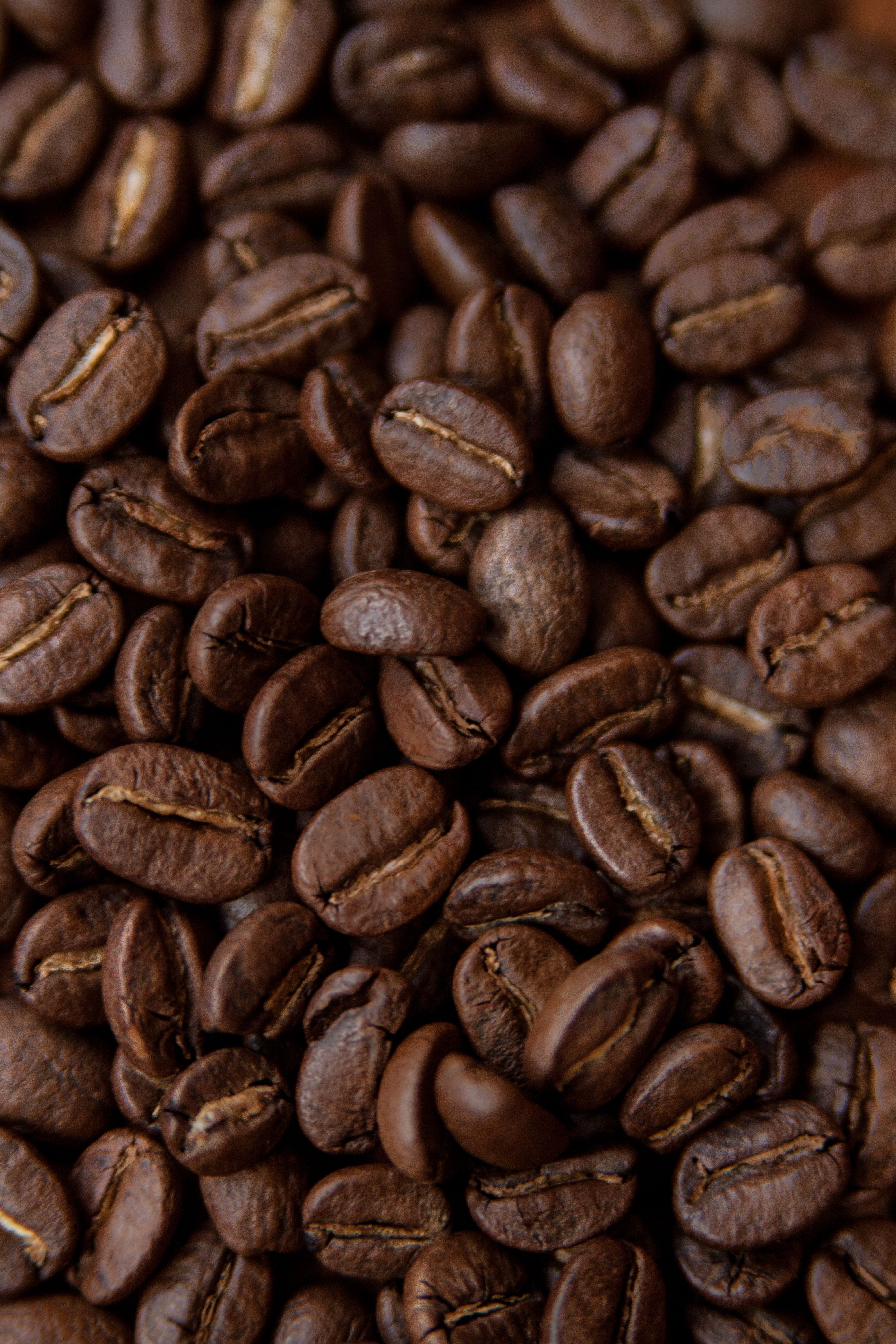 Miscela Biologica Fairtrade in Grani 500g — 3