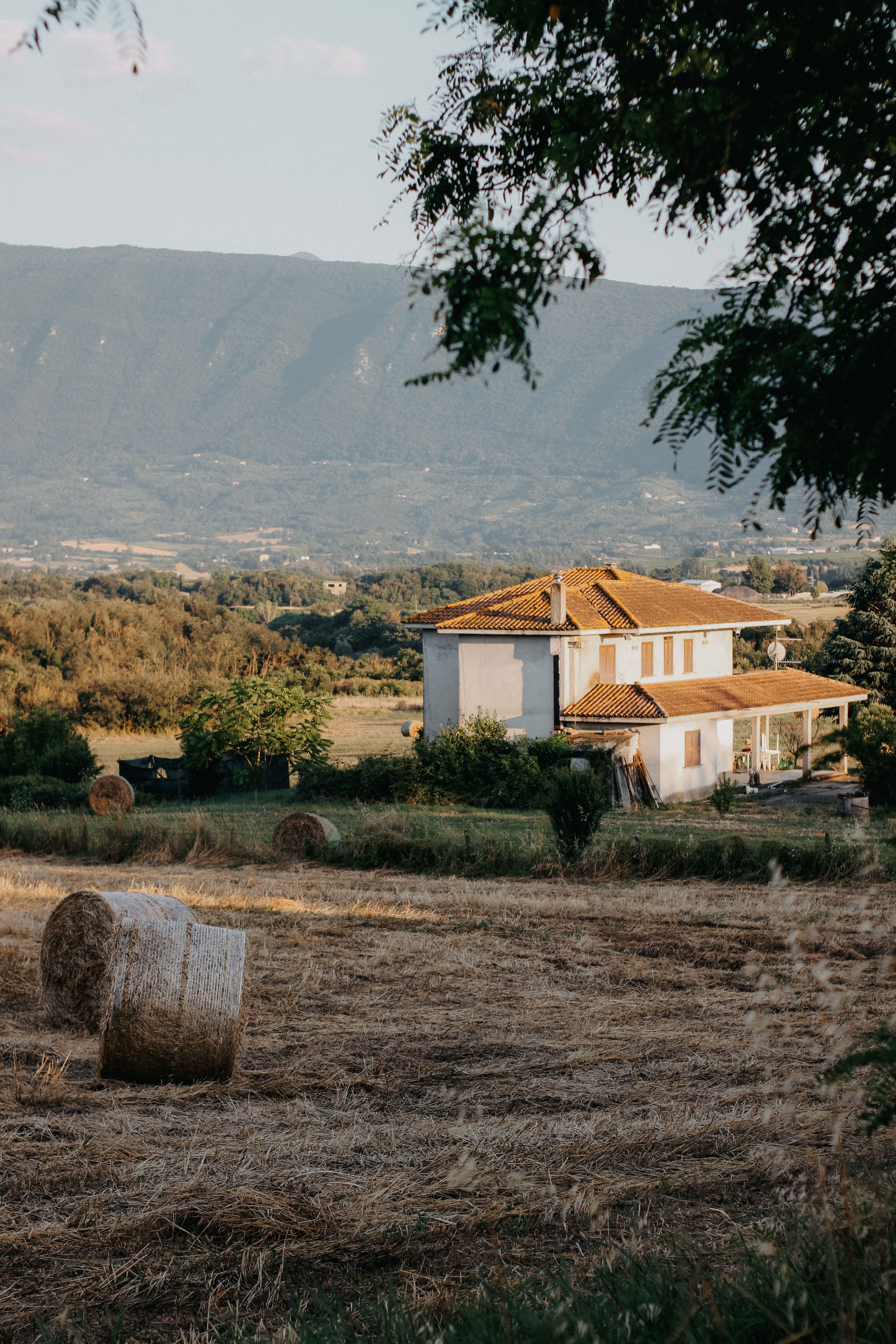 Grano Saraceno della Valtellina