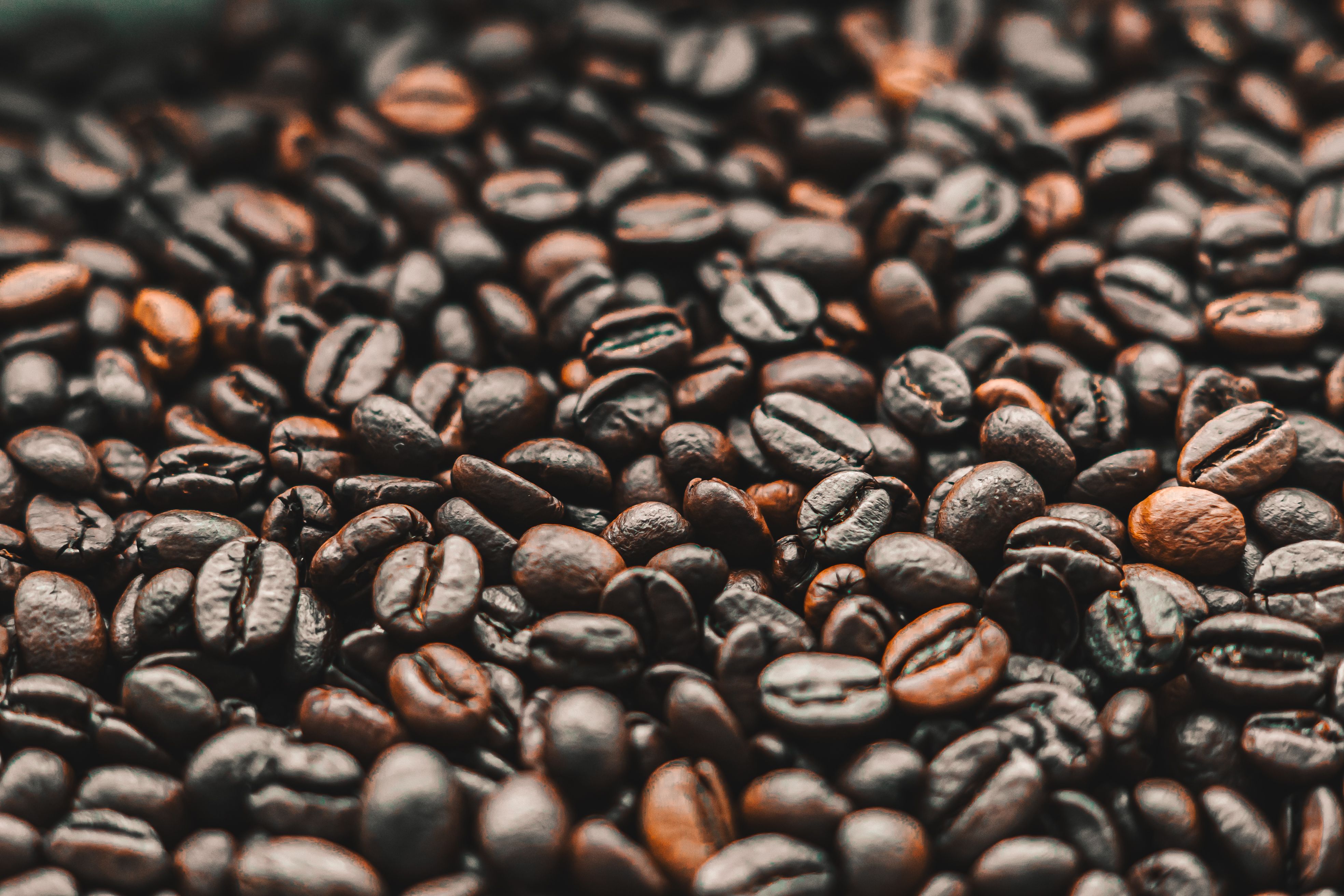 Caffè d'Orzo Macinato 500g — 3