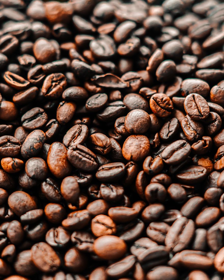 Caffè Monorigine Brasile 250g — 2