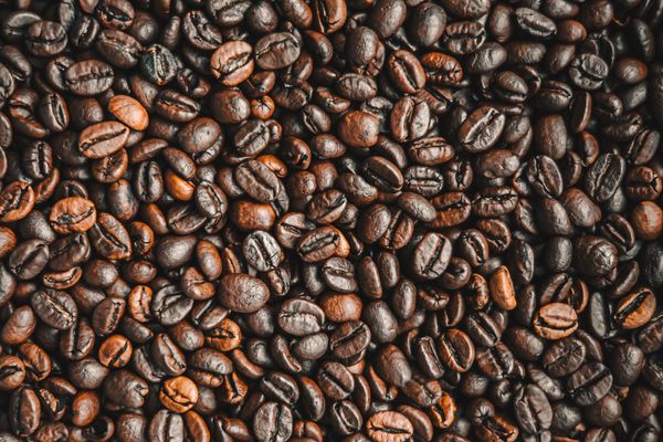 Caffè in Latta Regalo 250g — 4