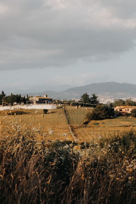 Pinoli Italiani di San Rossore — Terre del Sole di Puglia