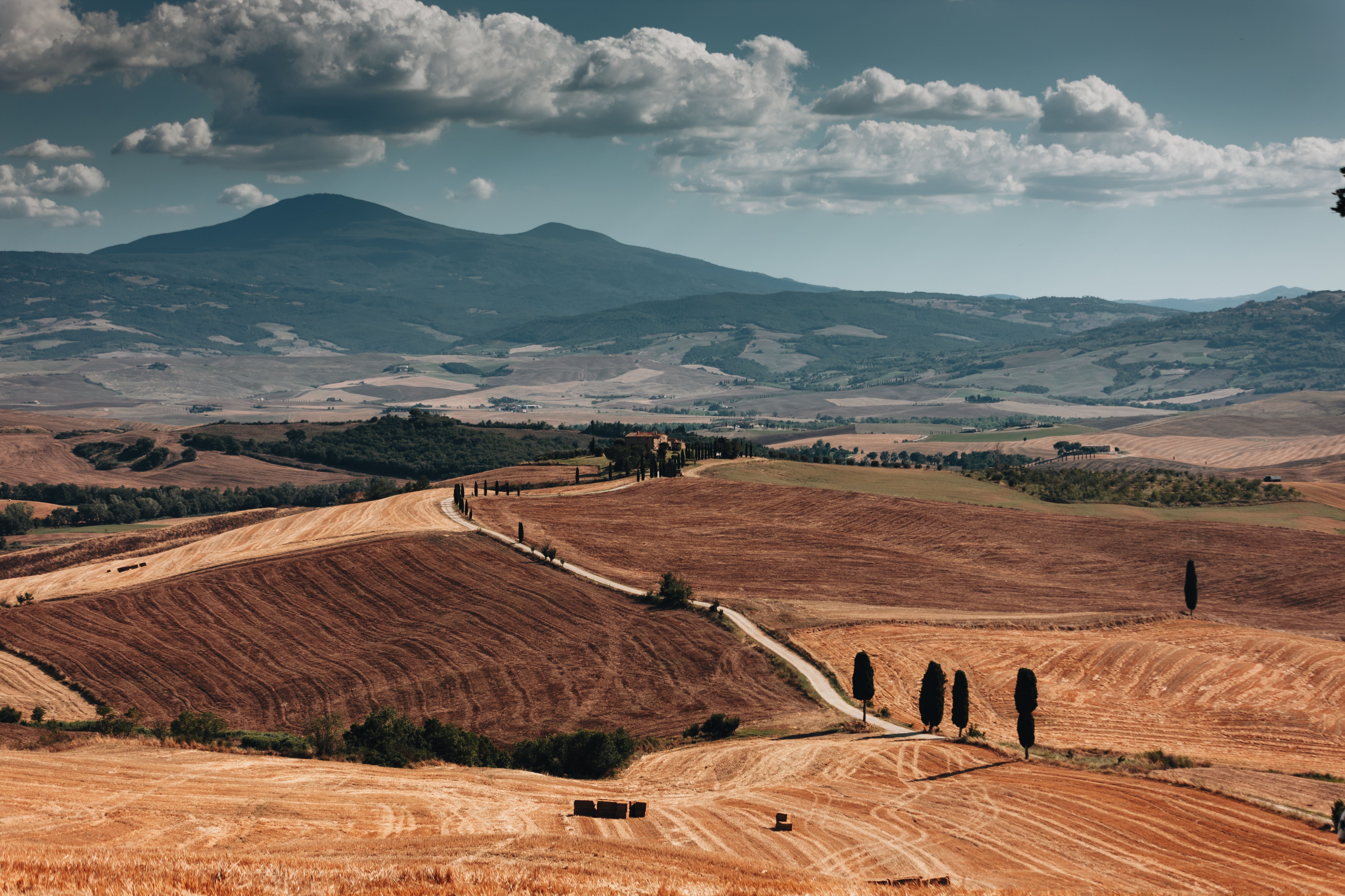 Grano Saraceno della Valtellina — 3