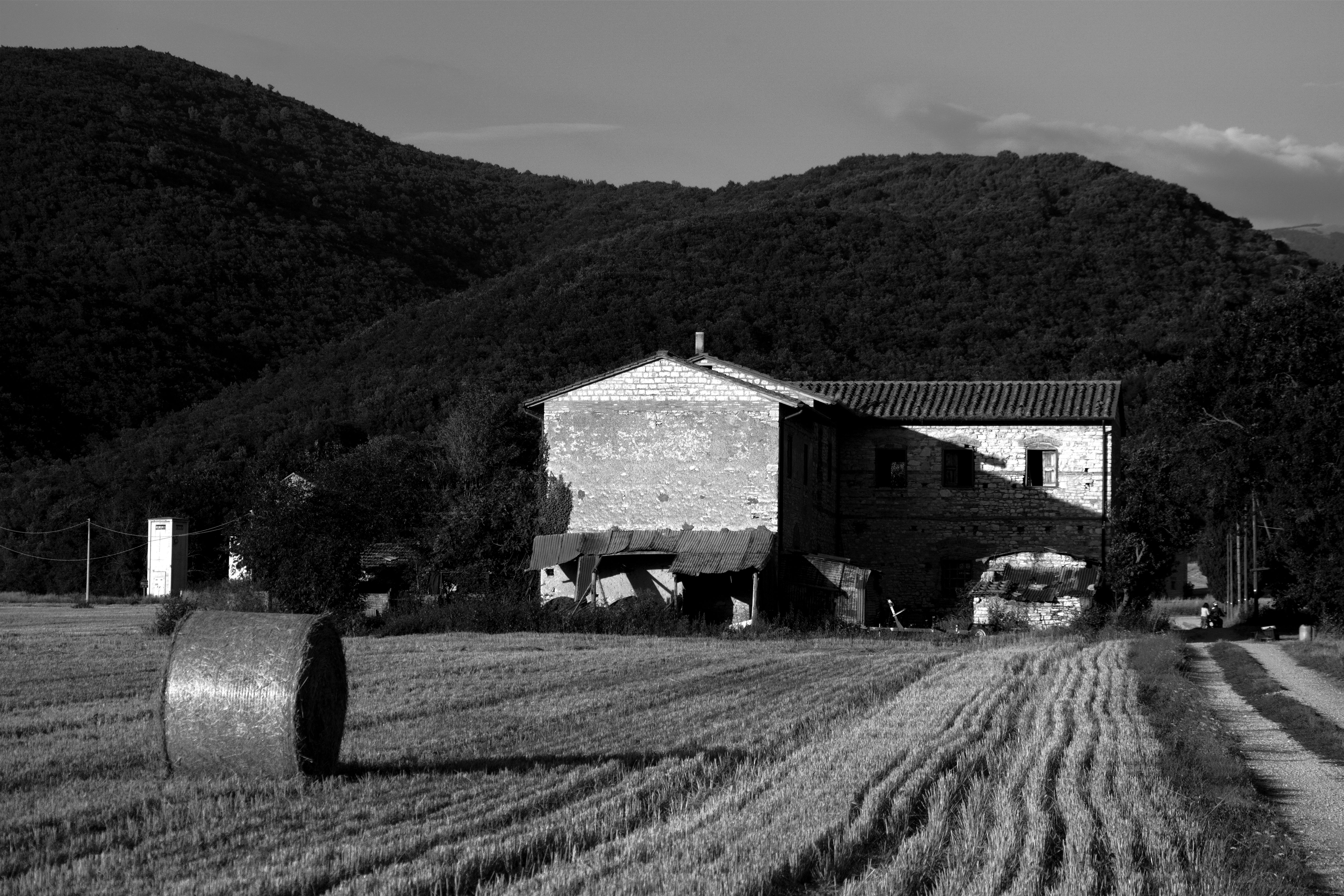 Semola Rimacinata di Grano Duro — 4