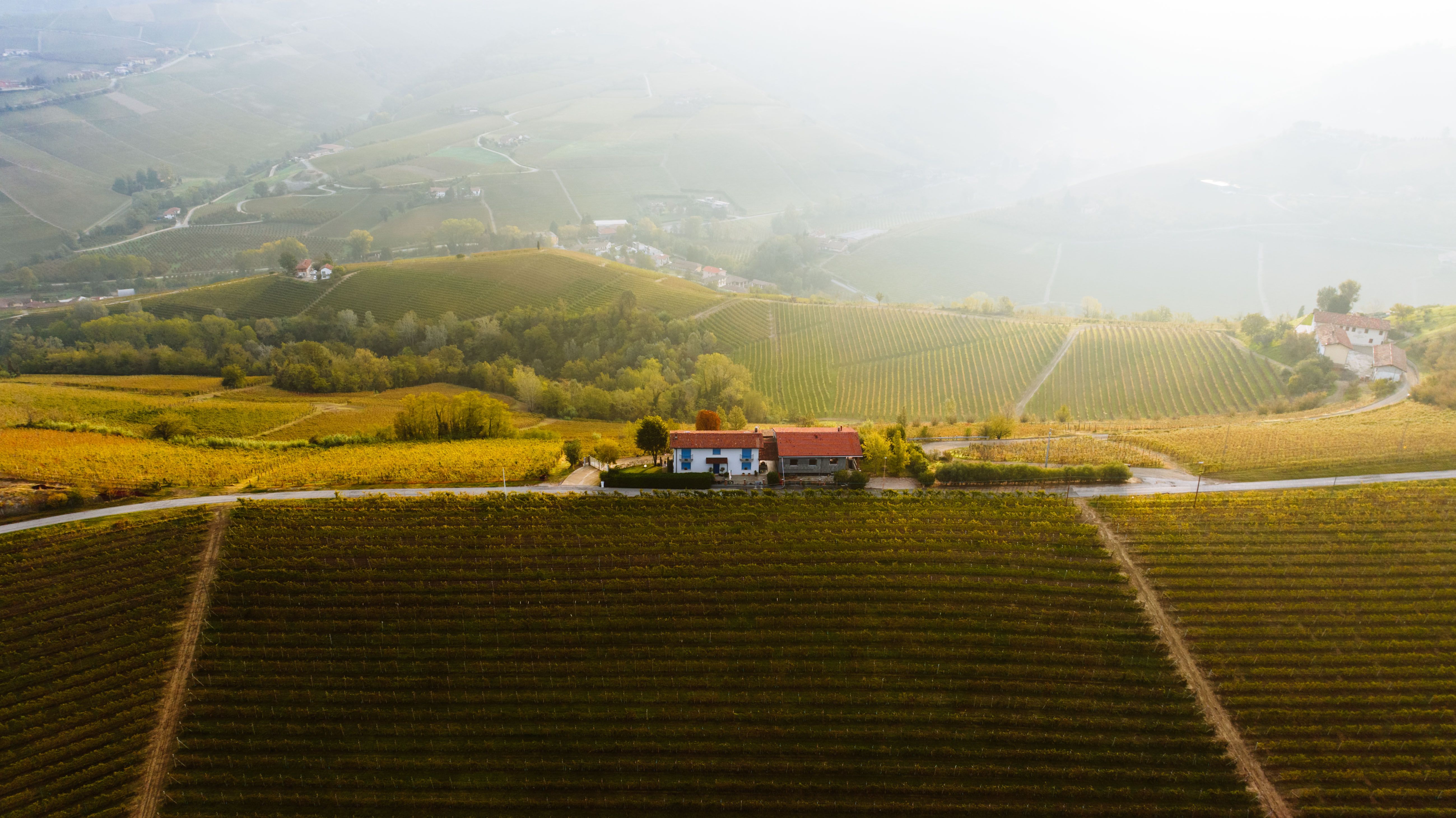 Pinoli Italiani di San Rossore — 2