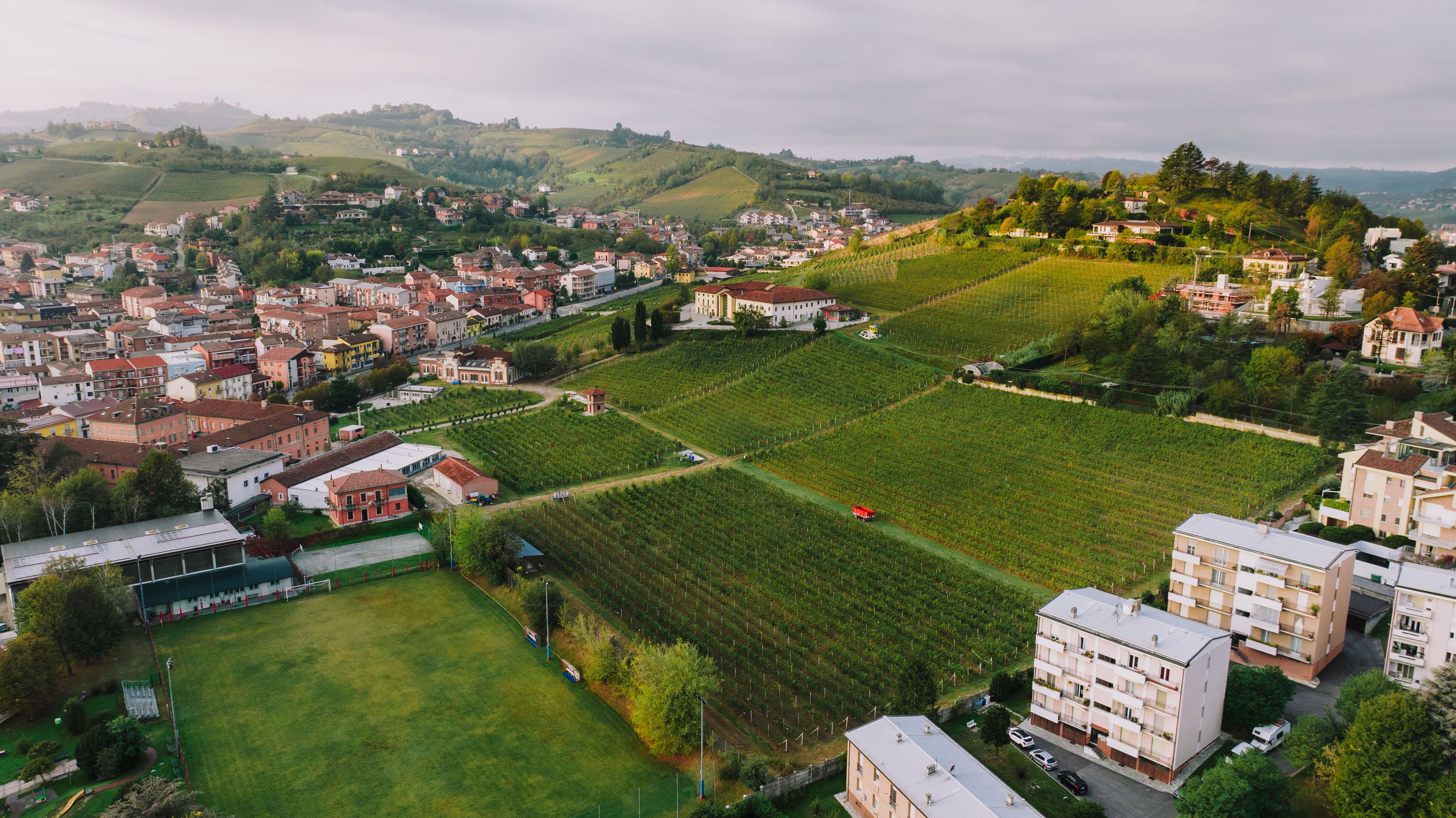 Piemonte da Bere