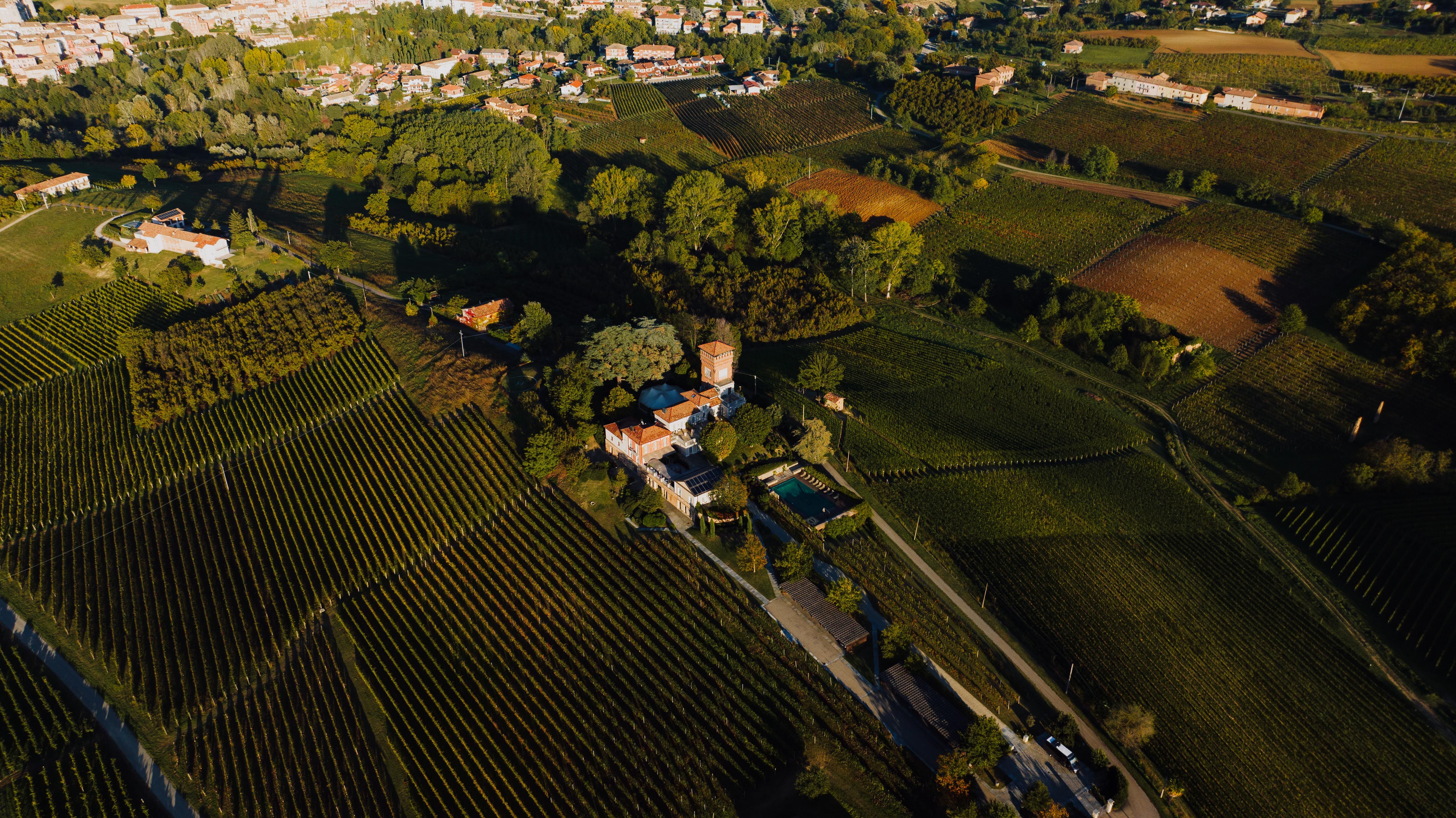 Pistacchio Verde di Bronte DOP Sgusciato