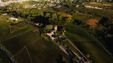 Pistacchio Verde di Bronte DOP Sgusciato