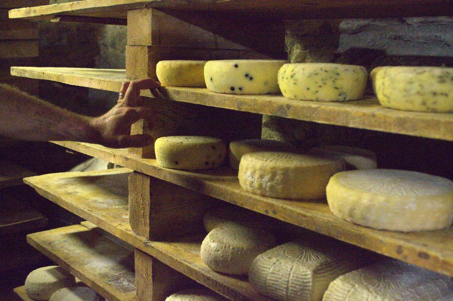 Asiago DOP Stravecchio — 2