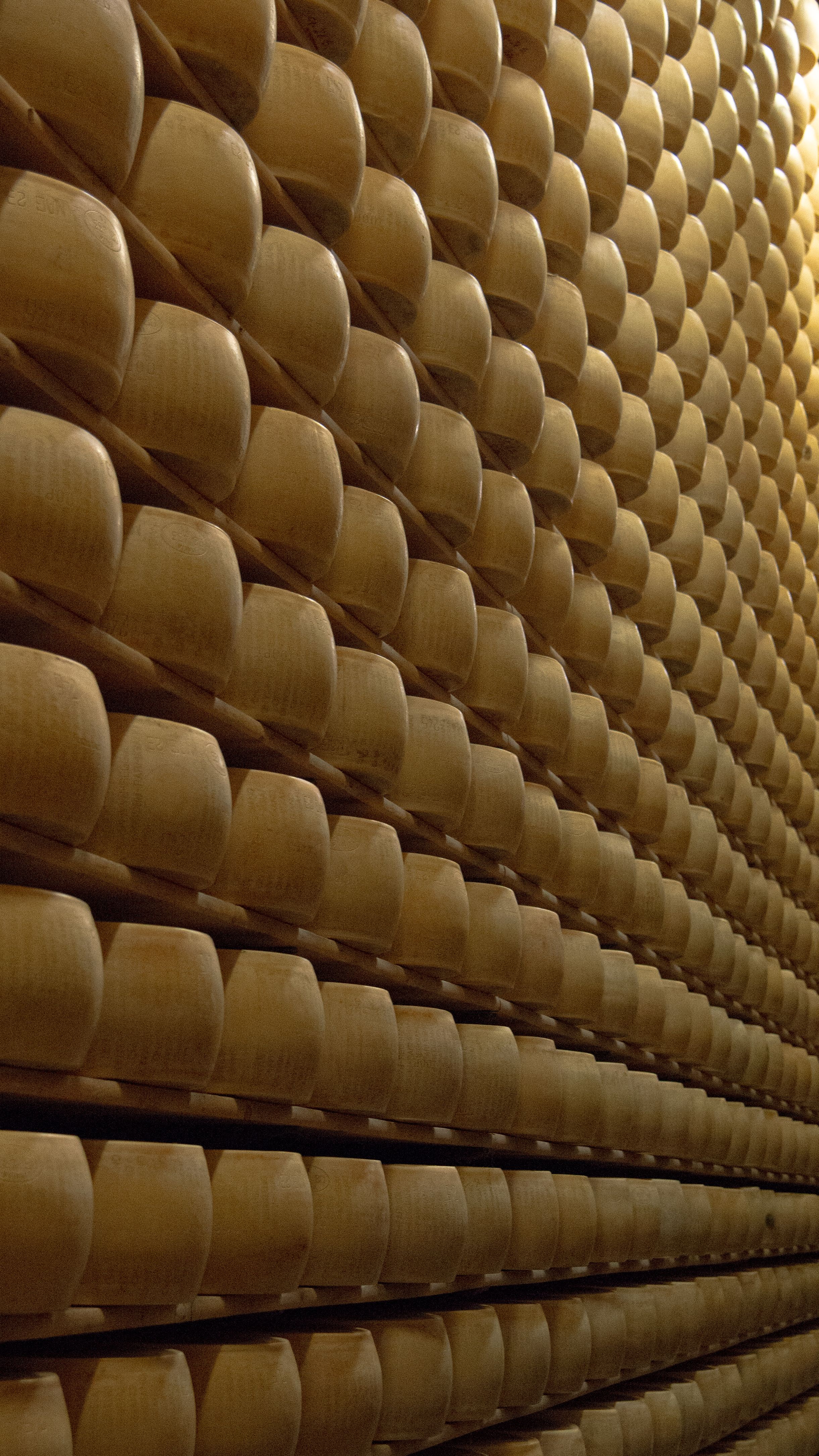 Gorgonzola dolce DOP — 3