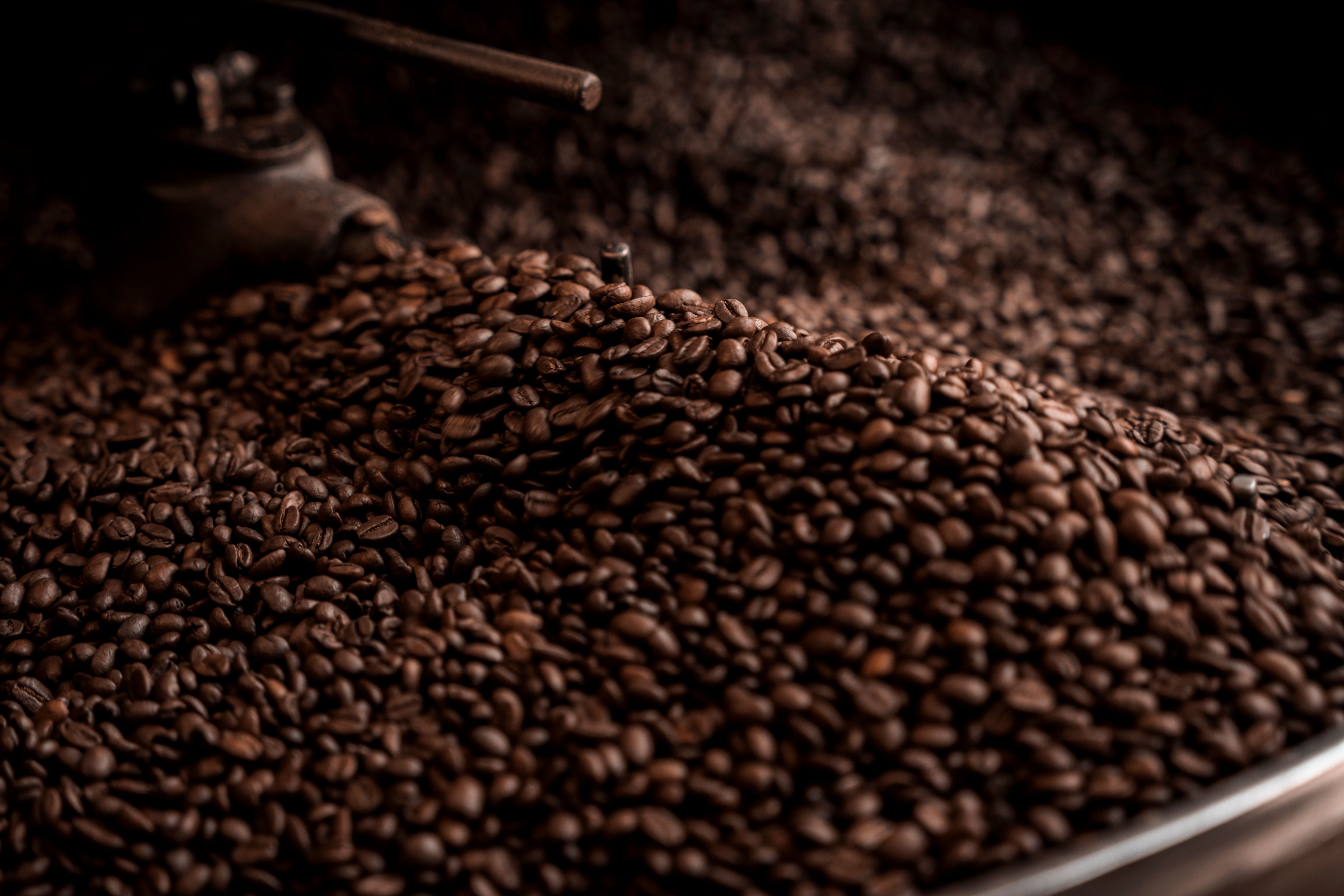 Caffè torrefatto artigianale — 3