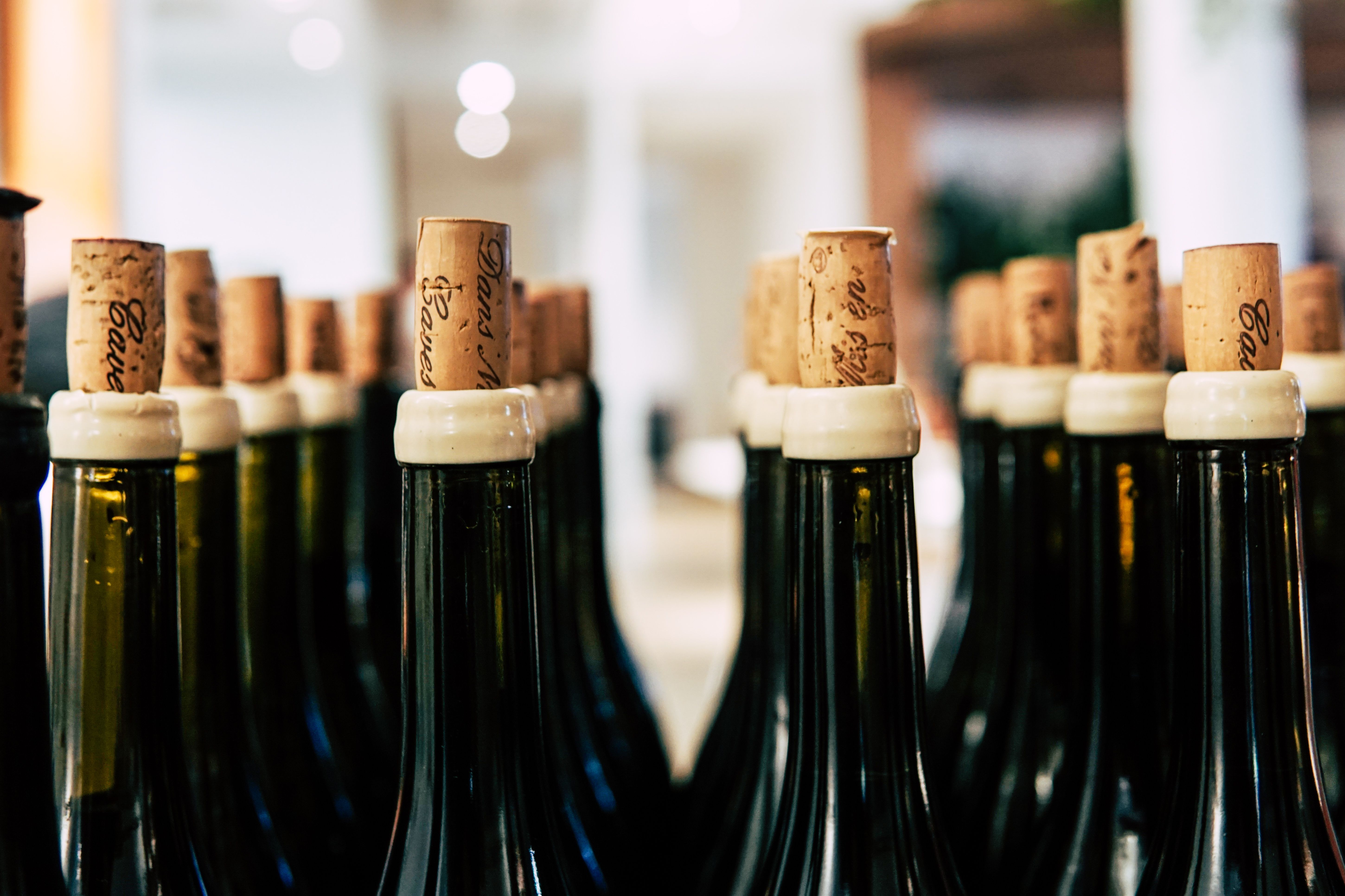 Primitivo di Manduria DOC Riserva — 3