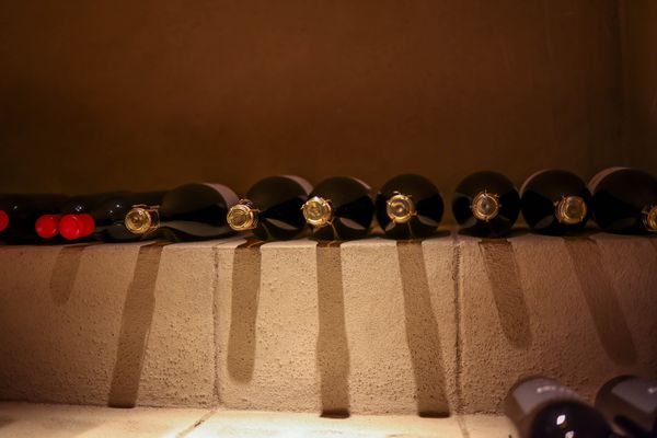 Soave Classico DOC Vigna Singola — 4