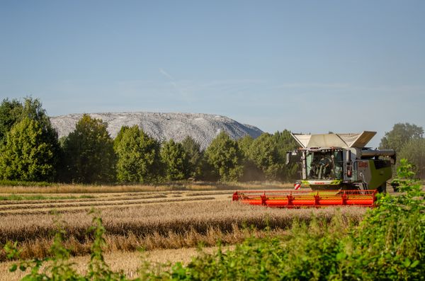 Semola Rimacinata di Grano Duro — 3