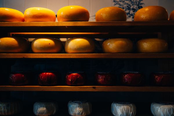 Parmigiano Reggiano DOP 36 mesi — 4
