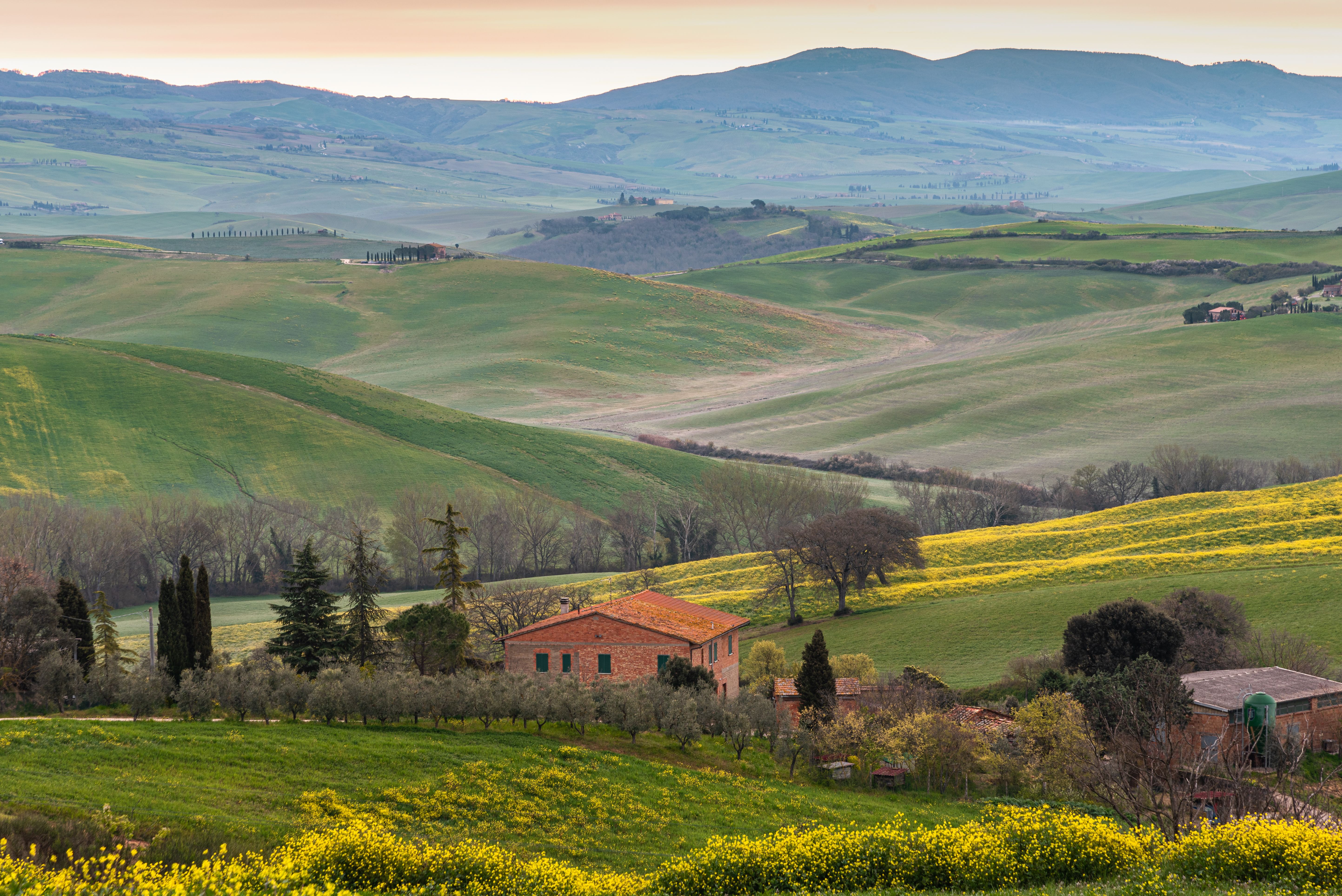 Corte delle Vigne — Spello
