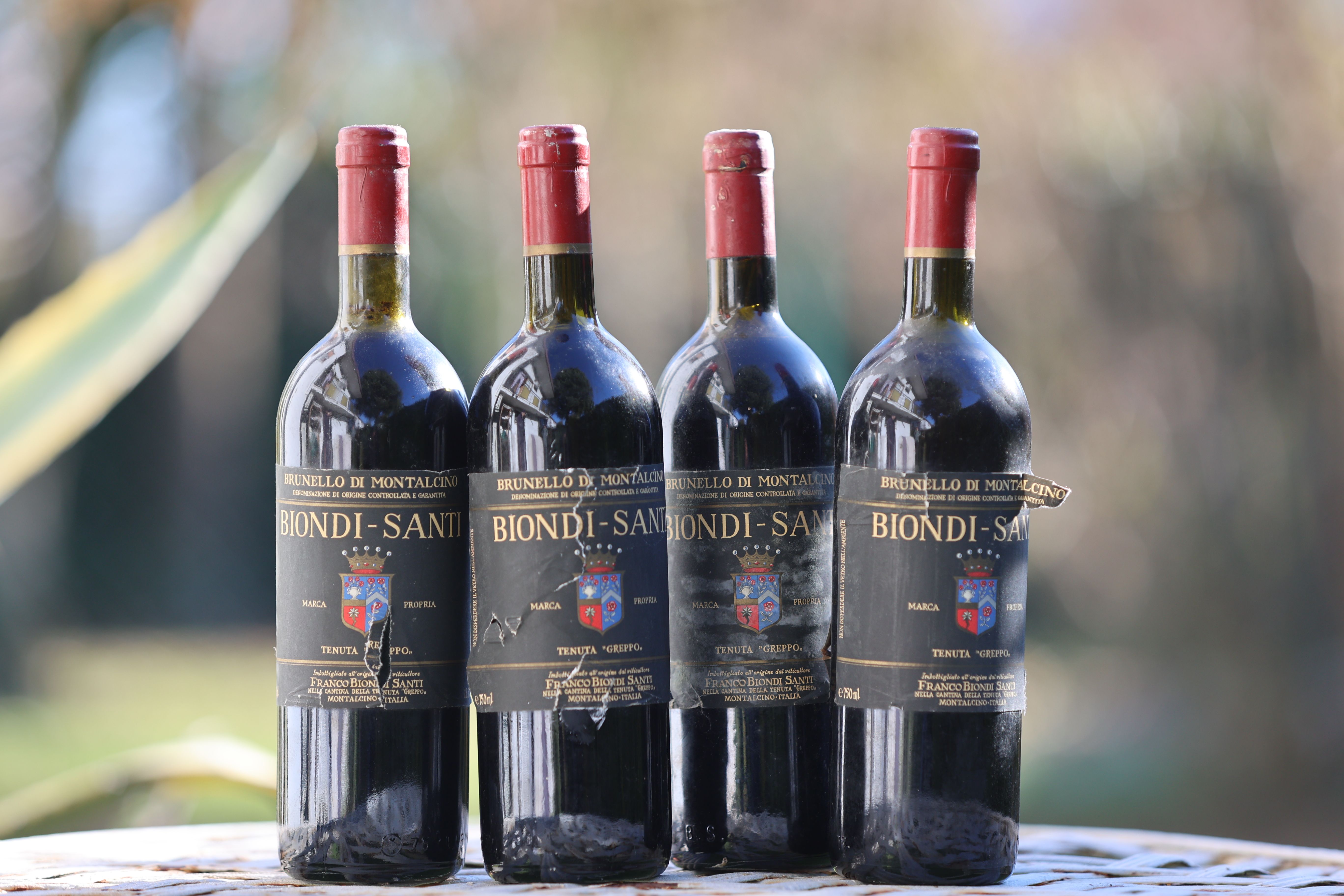 Verdicchio dei Castelli di Jesi Classico Riserva DOCG