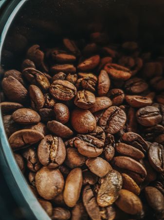 Caffè in Latta Regalo 250g — 3