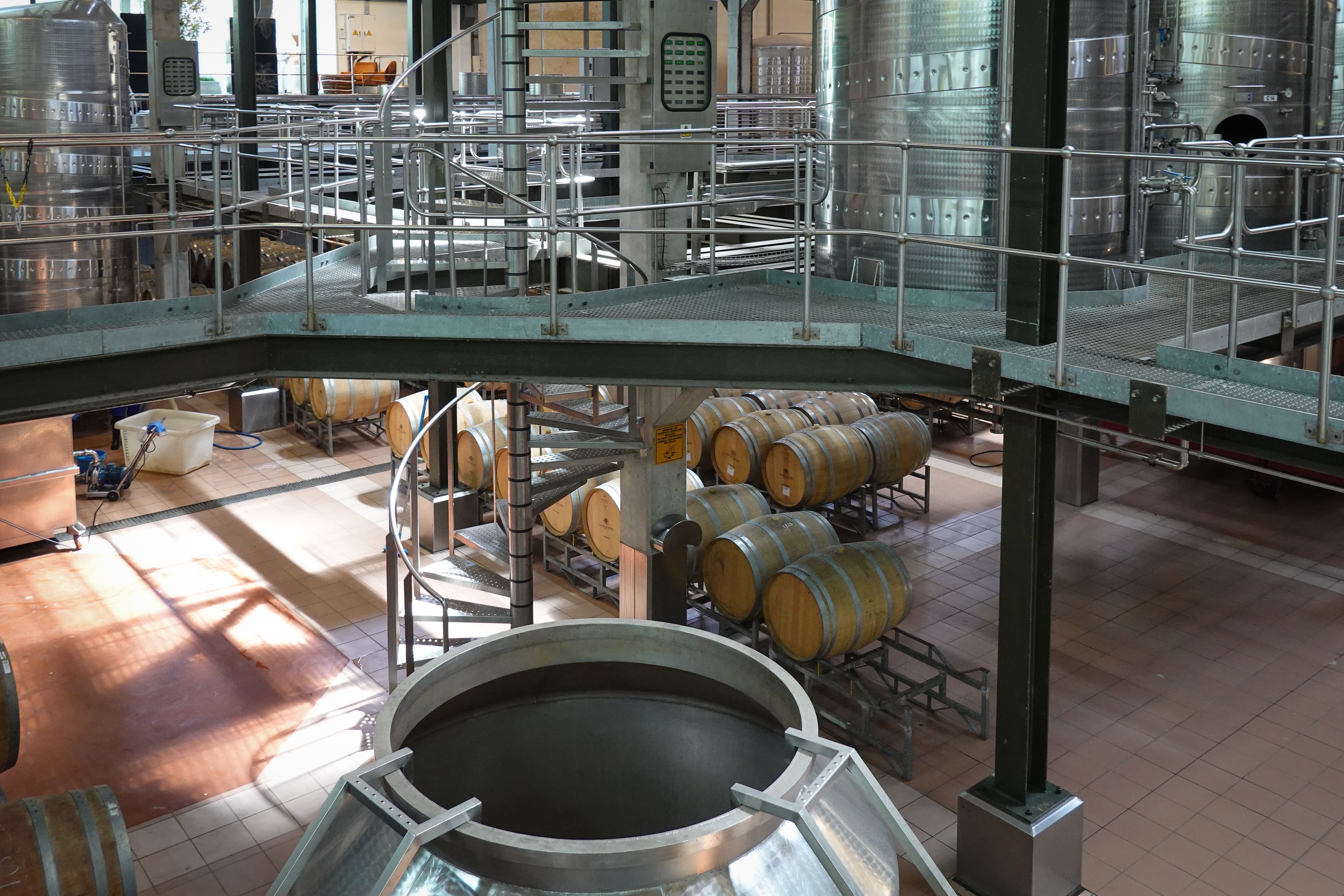 Brunello di Montalcino DOCG 2019 — 2