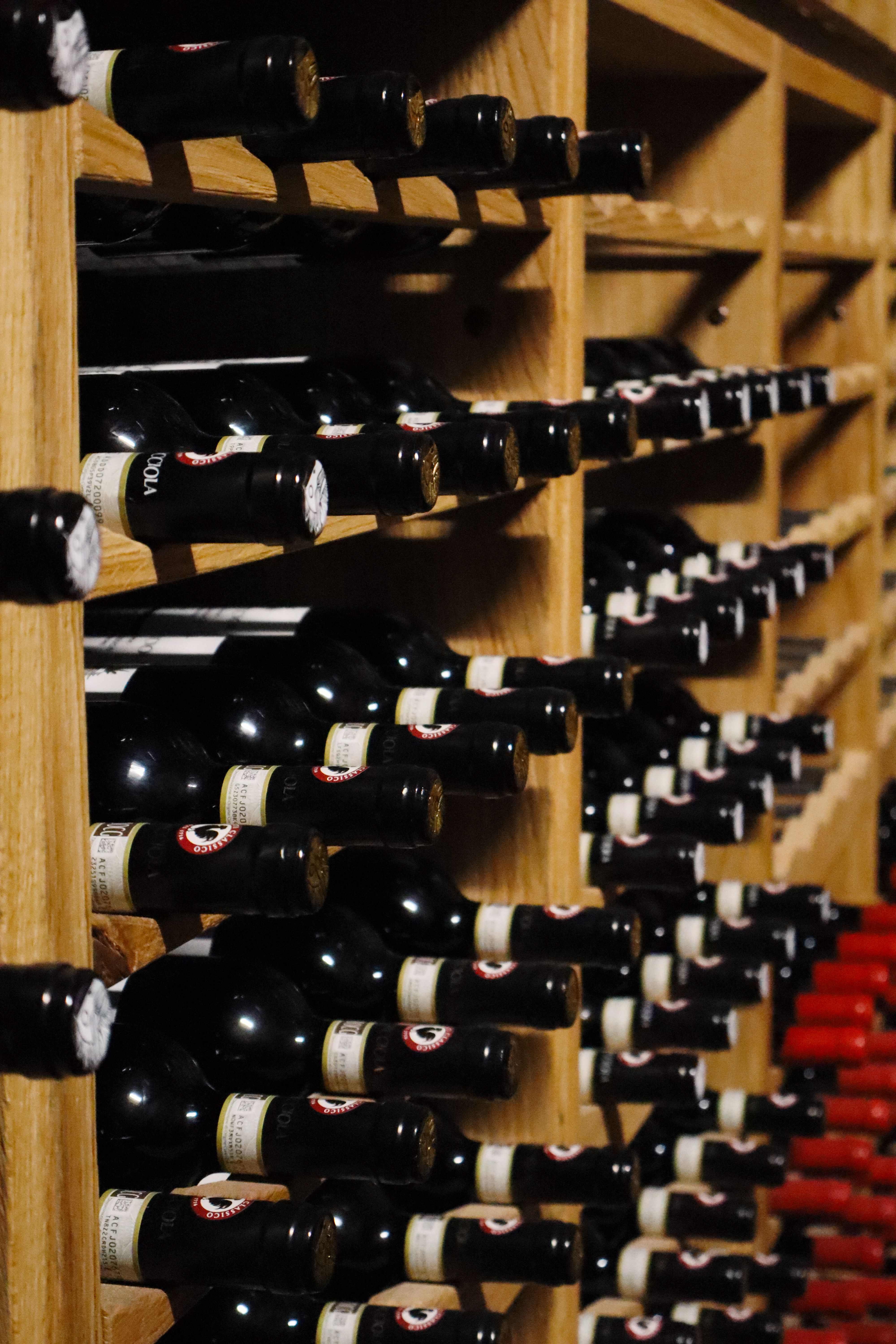 Bolgheri DOC Rosso Superiore 2019 — 3
