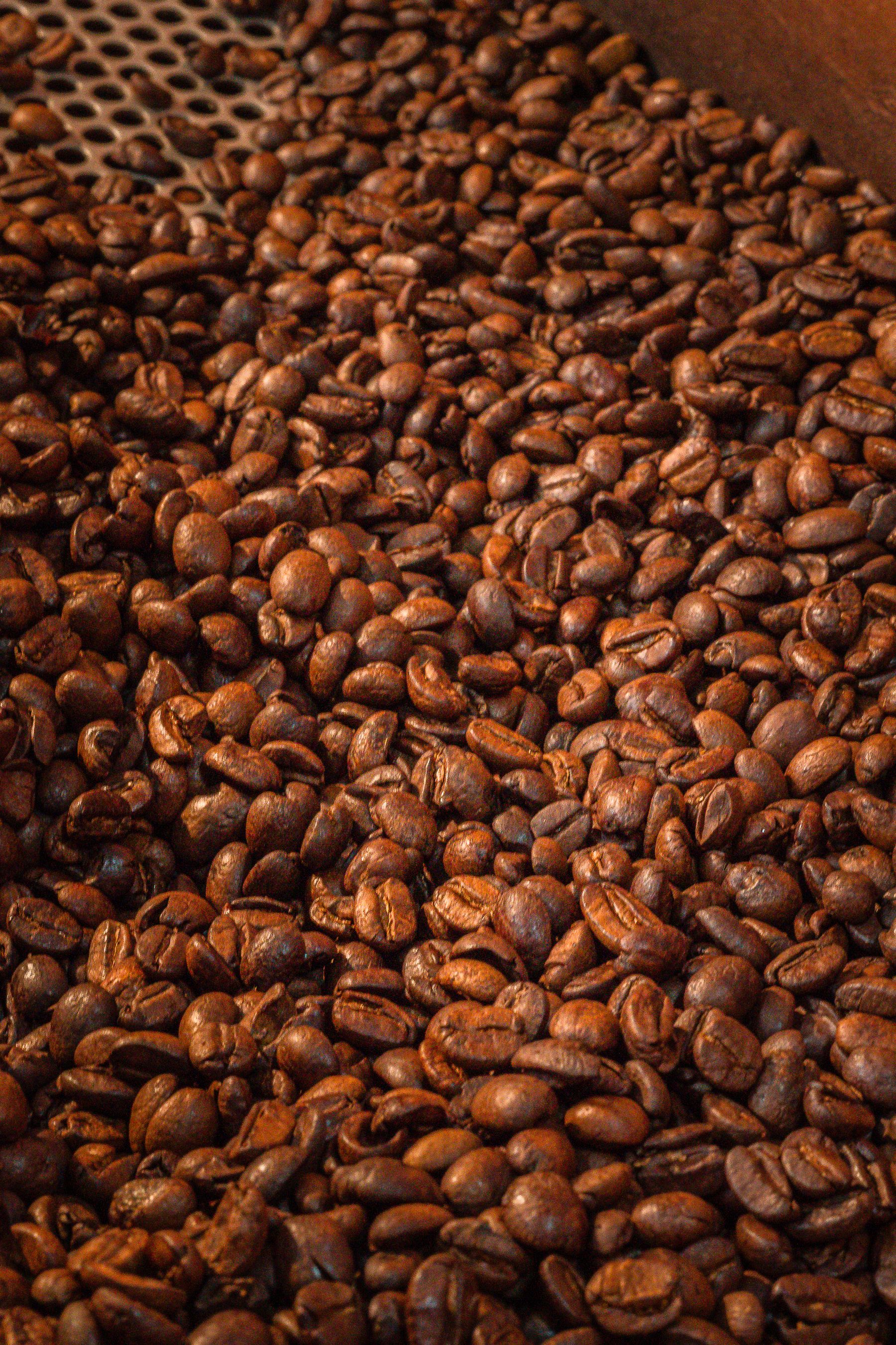 Preparato al Ginseng con Caffè 500g — 4