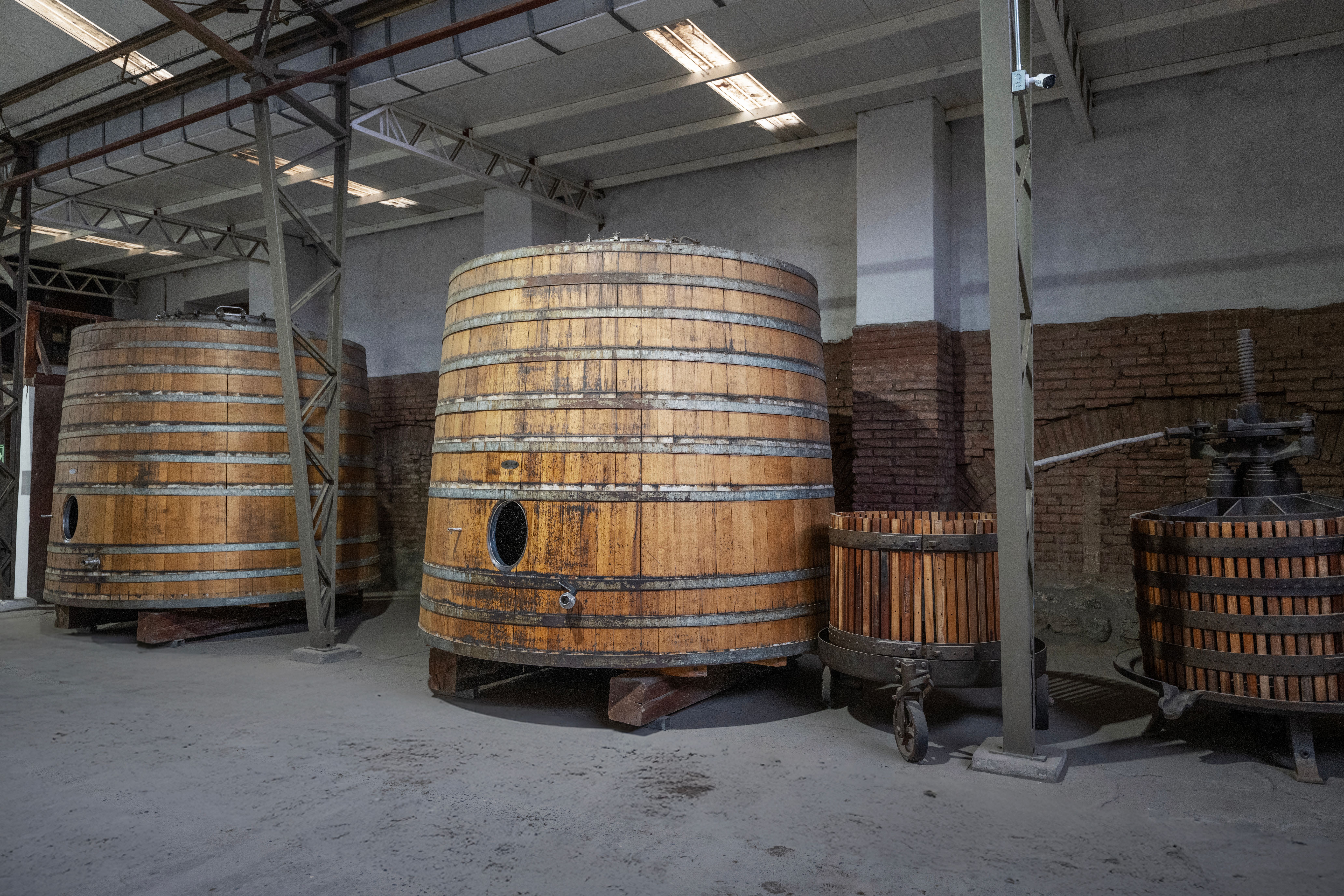 Pecorino stagionato in grotta — 2
