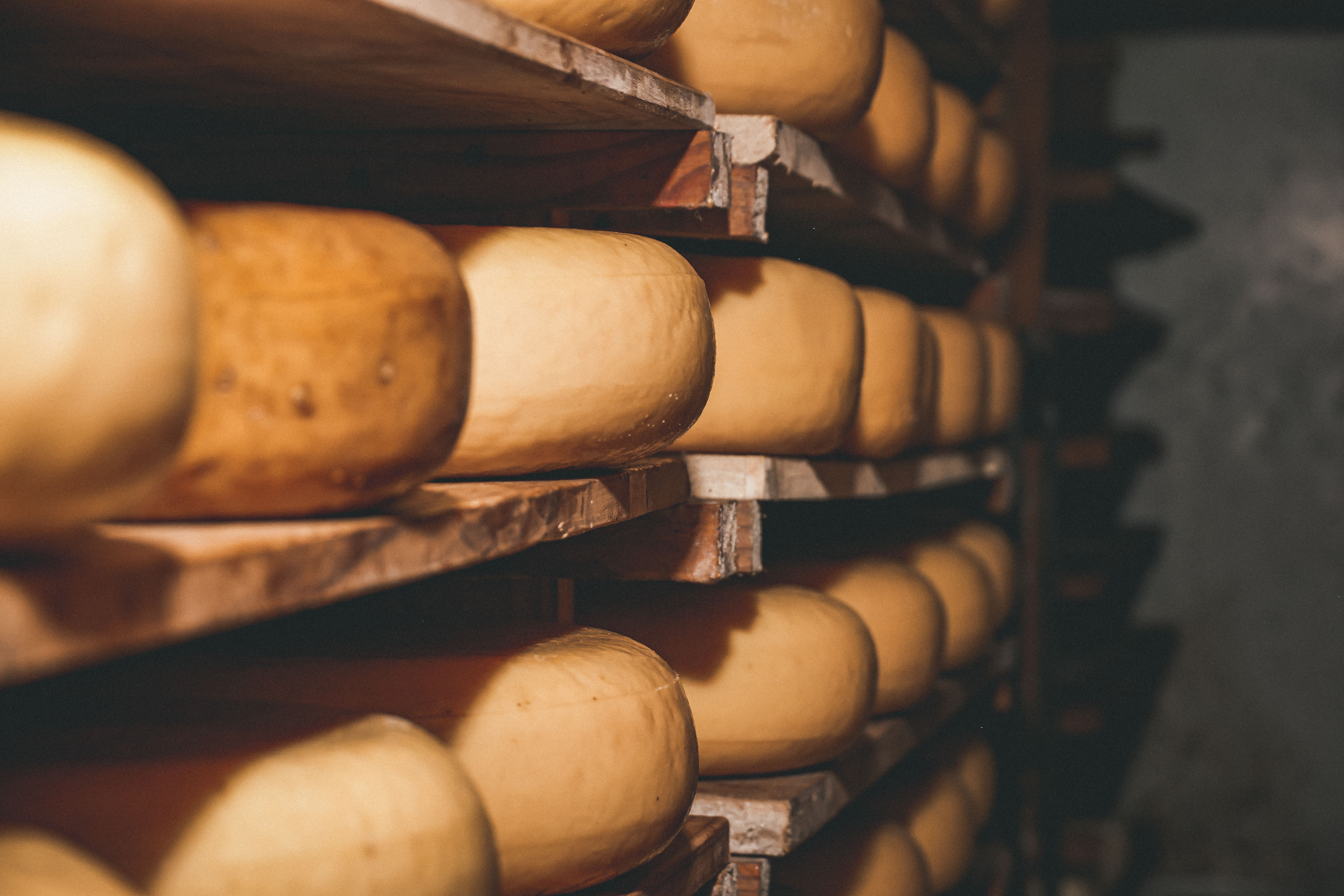 Asiago DOP Stravecchio — 4