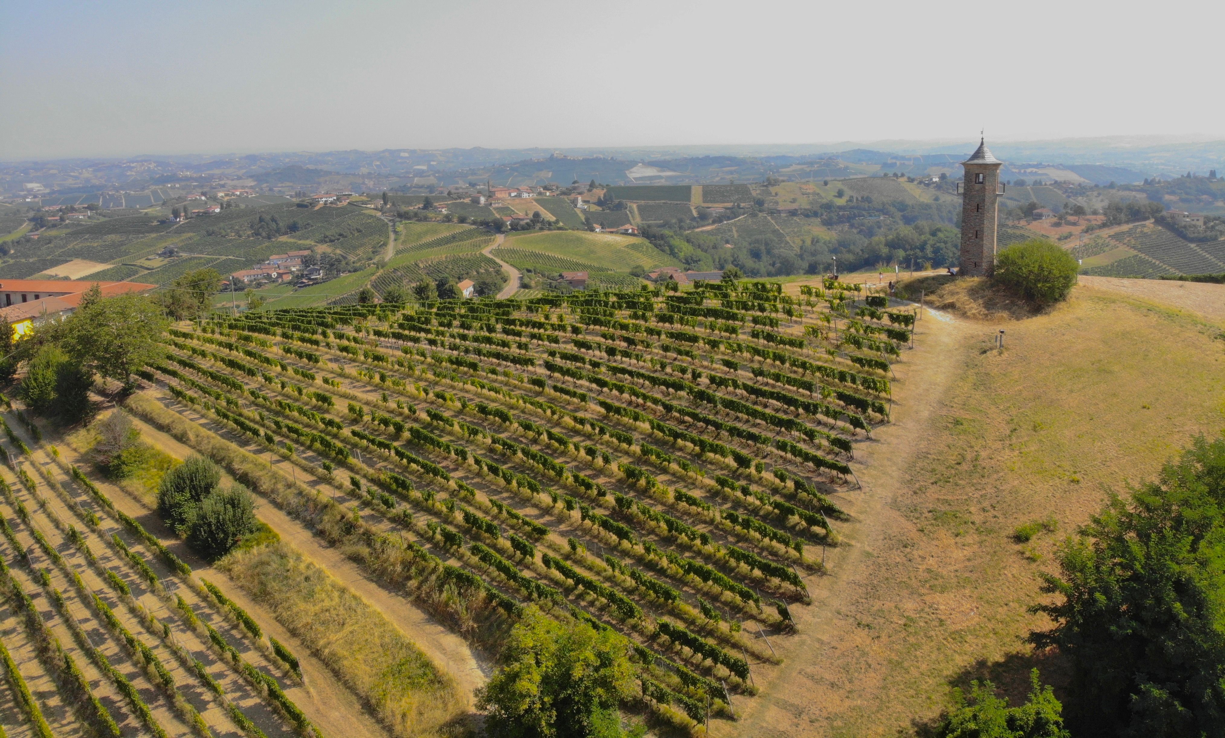 Degustazione di olio al frantoio di Spello — Spello