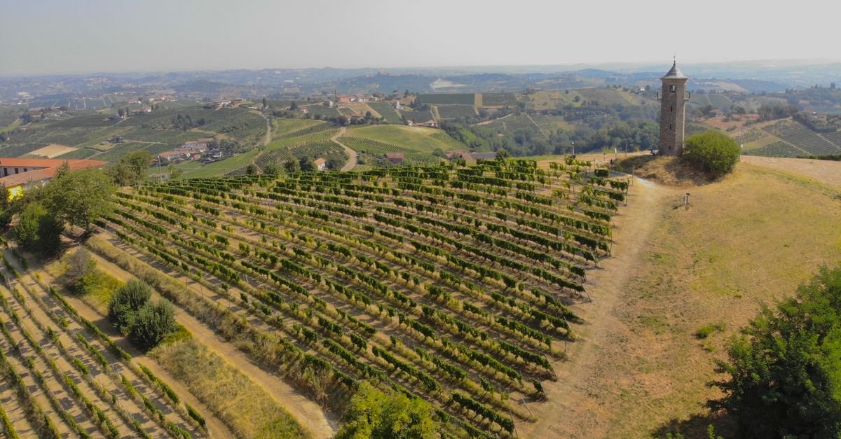 Degustazione di olio al frantoio di Spello — Spello