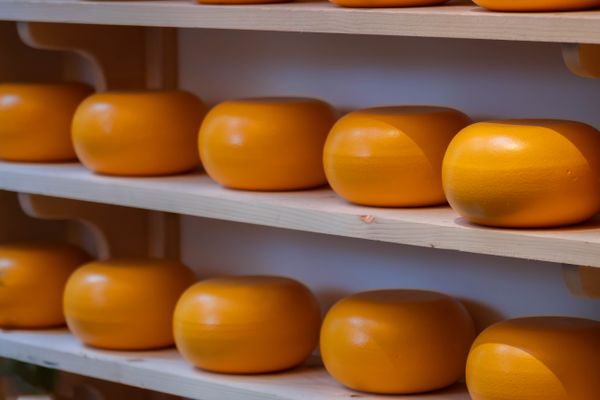 Castelmagno DOP di Alpeggio — 3