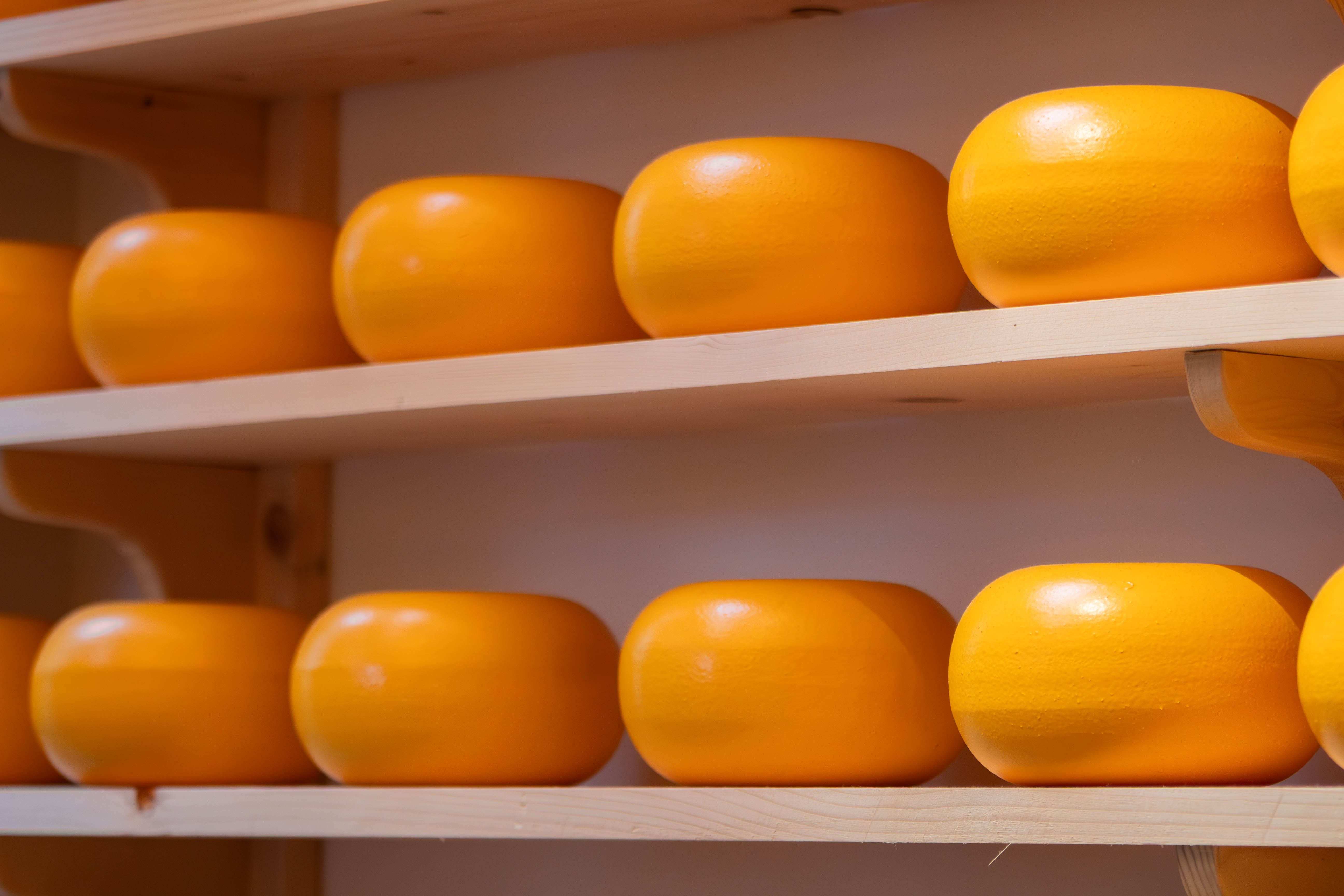 Toma Piemontese DOP — 2
