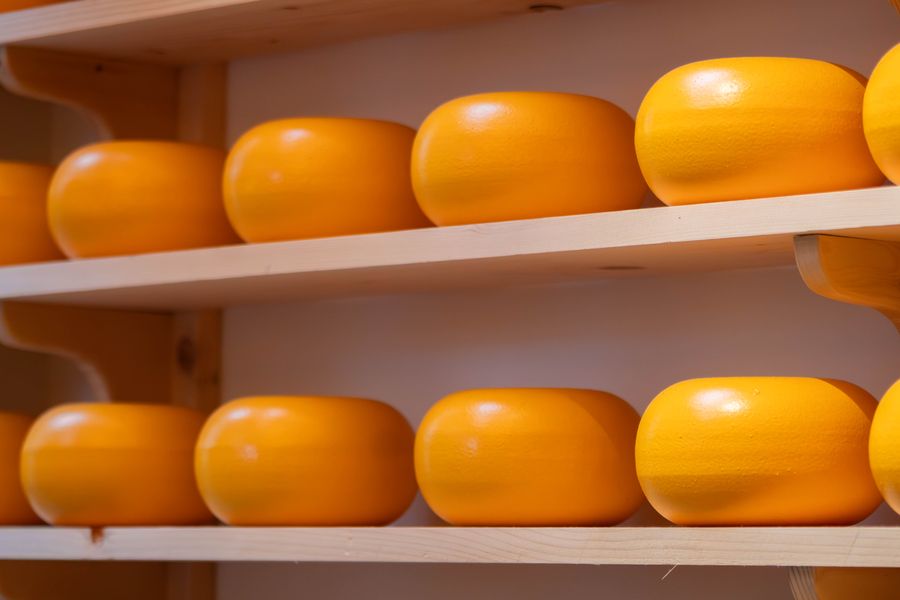 Toma Piemontese DOP — 2