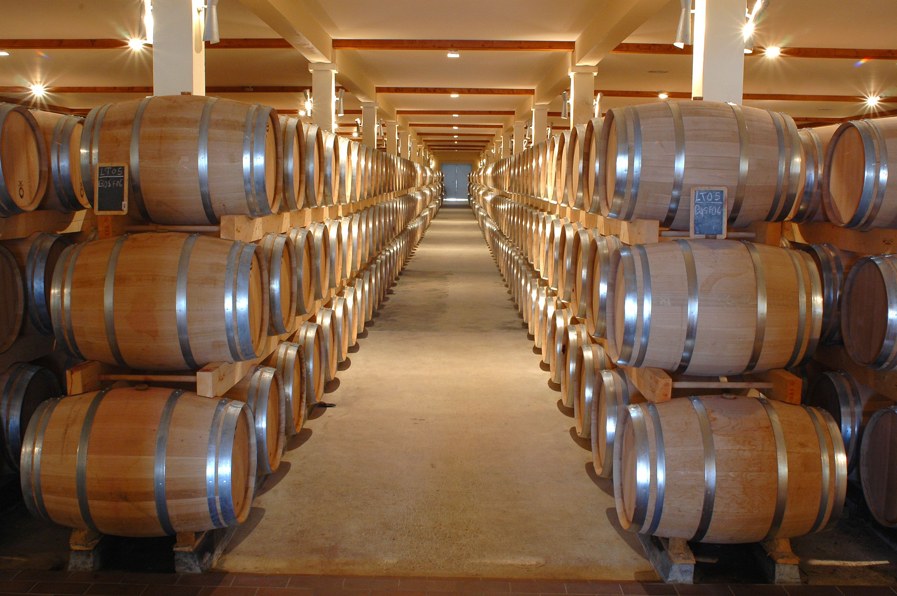 Pecorino stagionato in grotta — 3