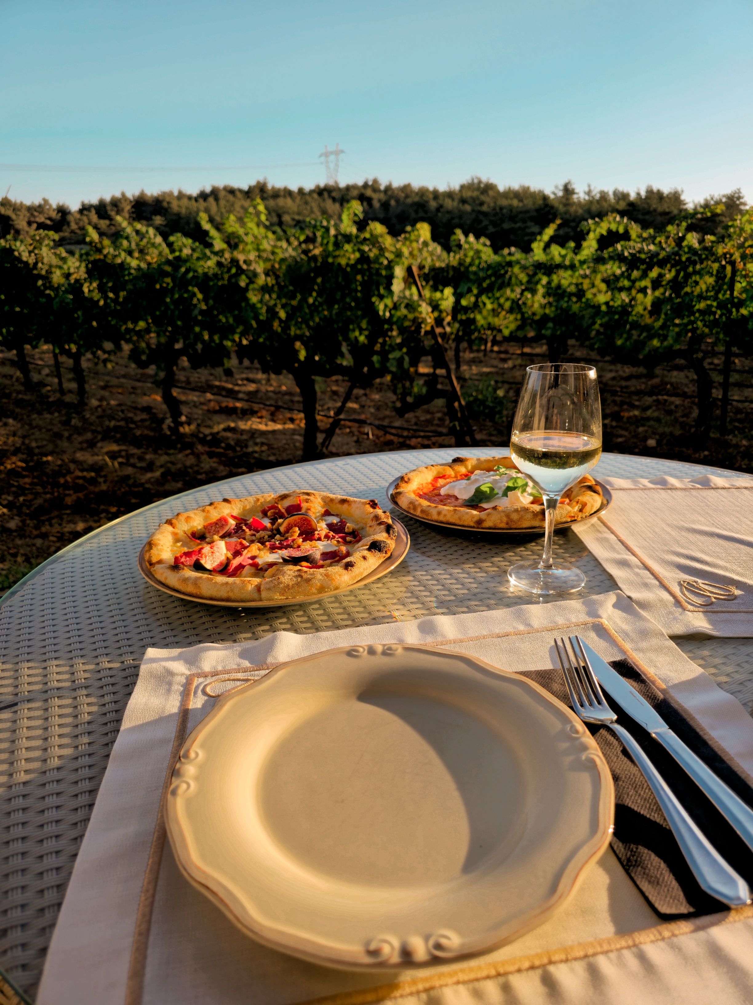 Vermentino di Gallura DOCG Superiore — 3