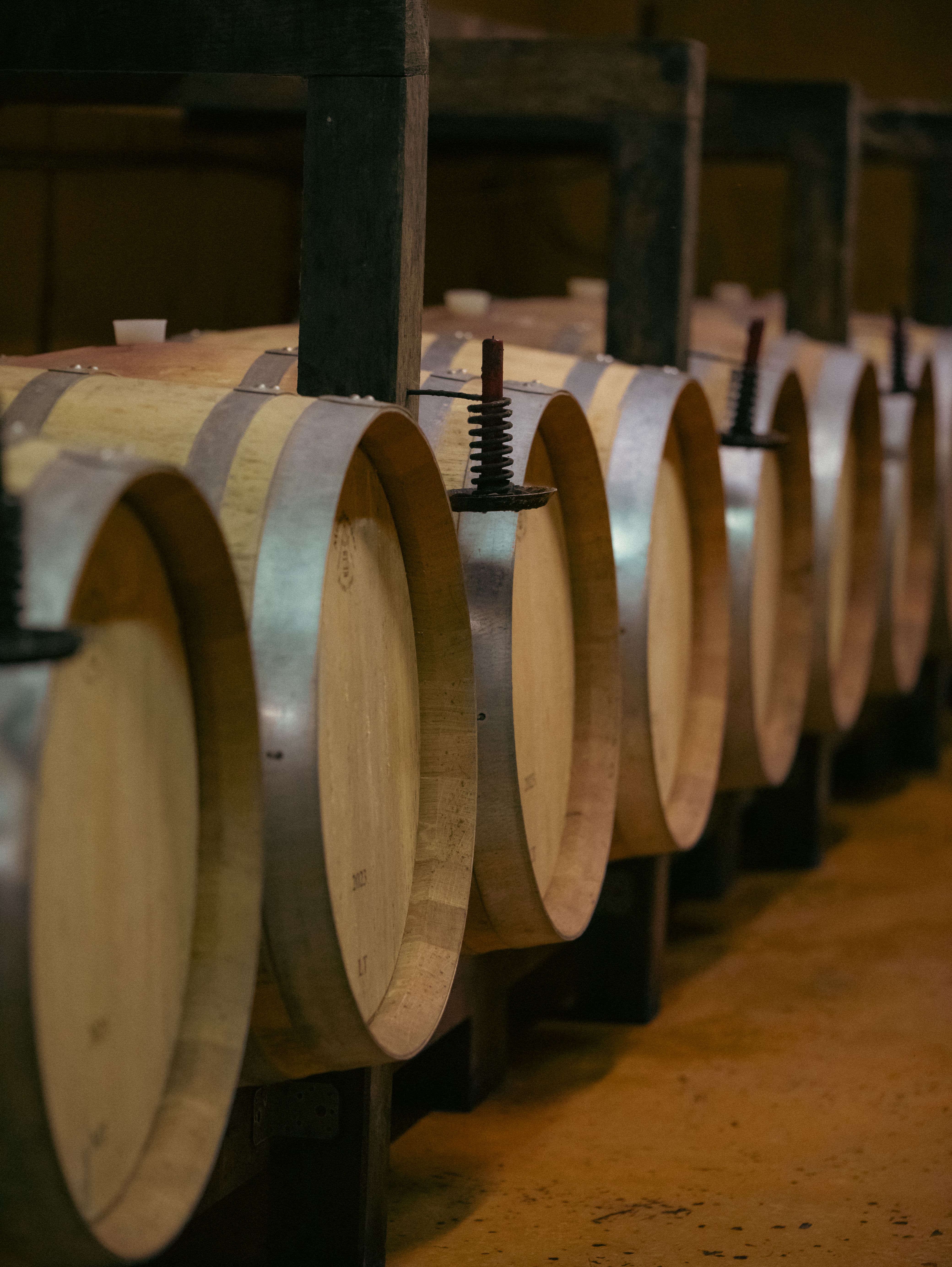 Vermentino di Gallura DOCG Superiore — 4