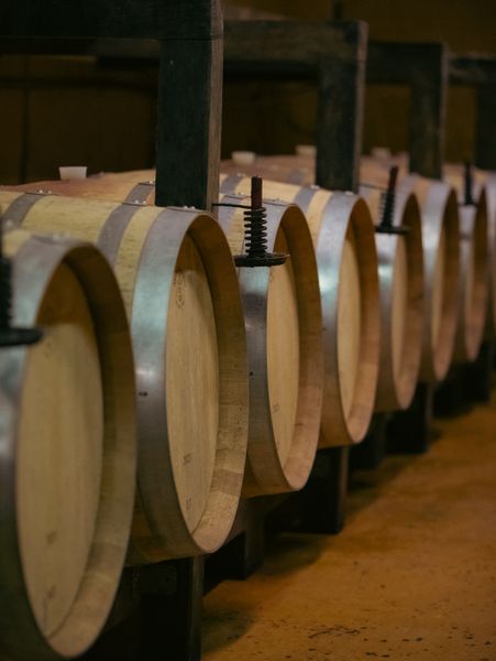 Vermentino di Gallura DOCG Superiore — 4