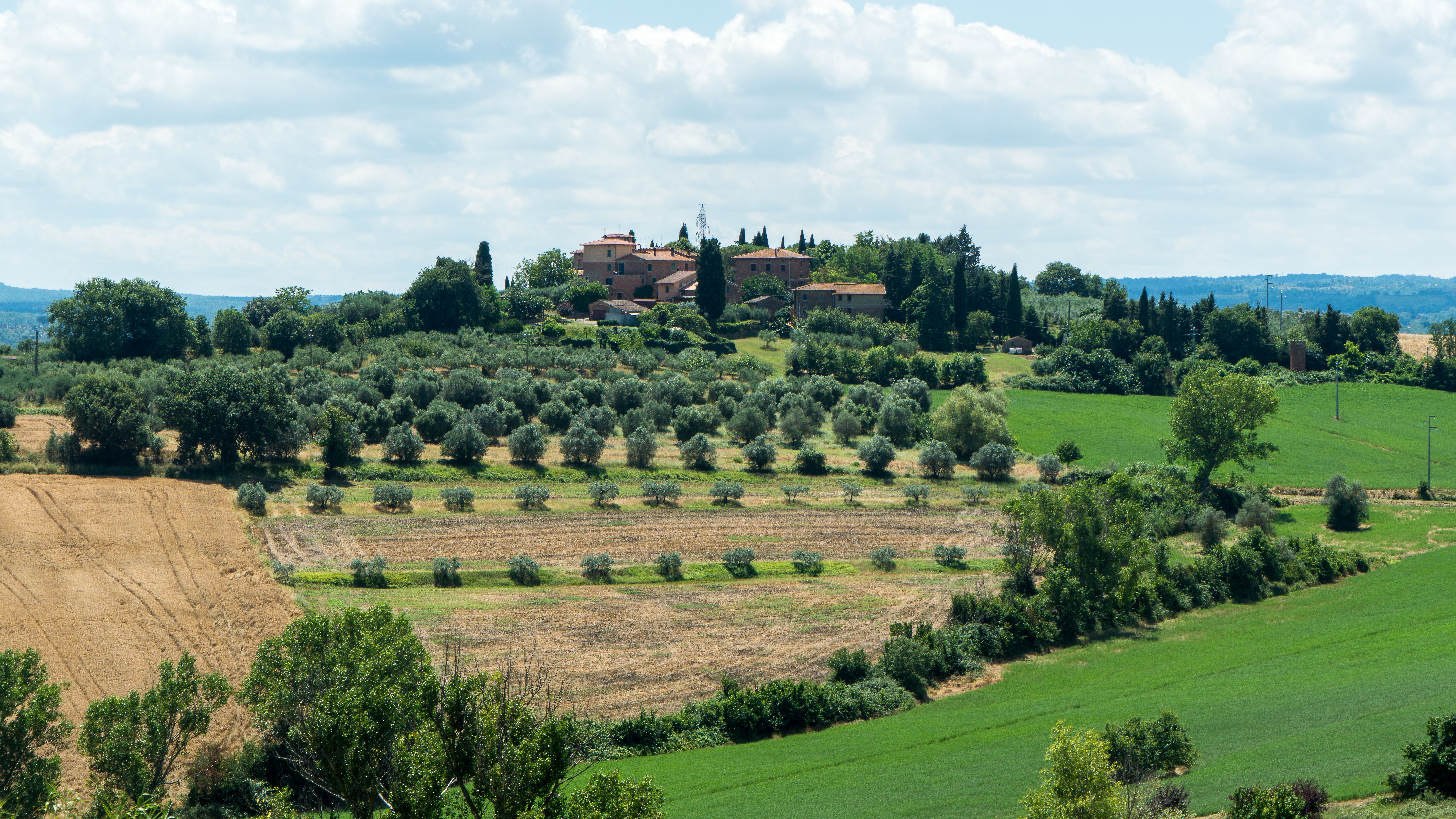 Olio extravergine di oliva DOP