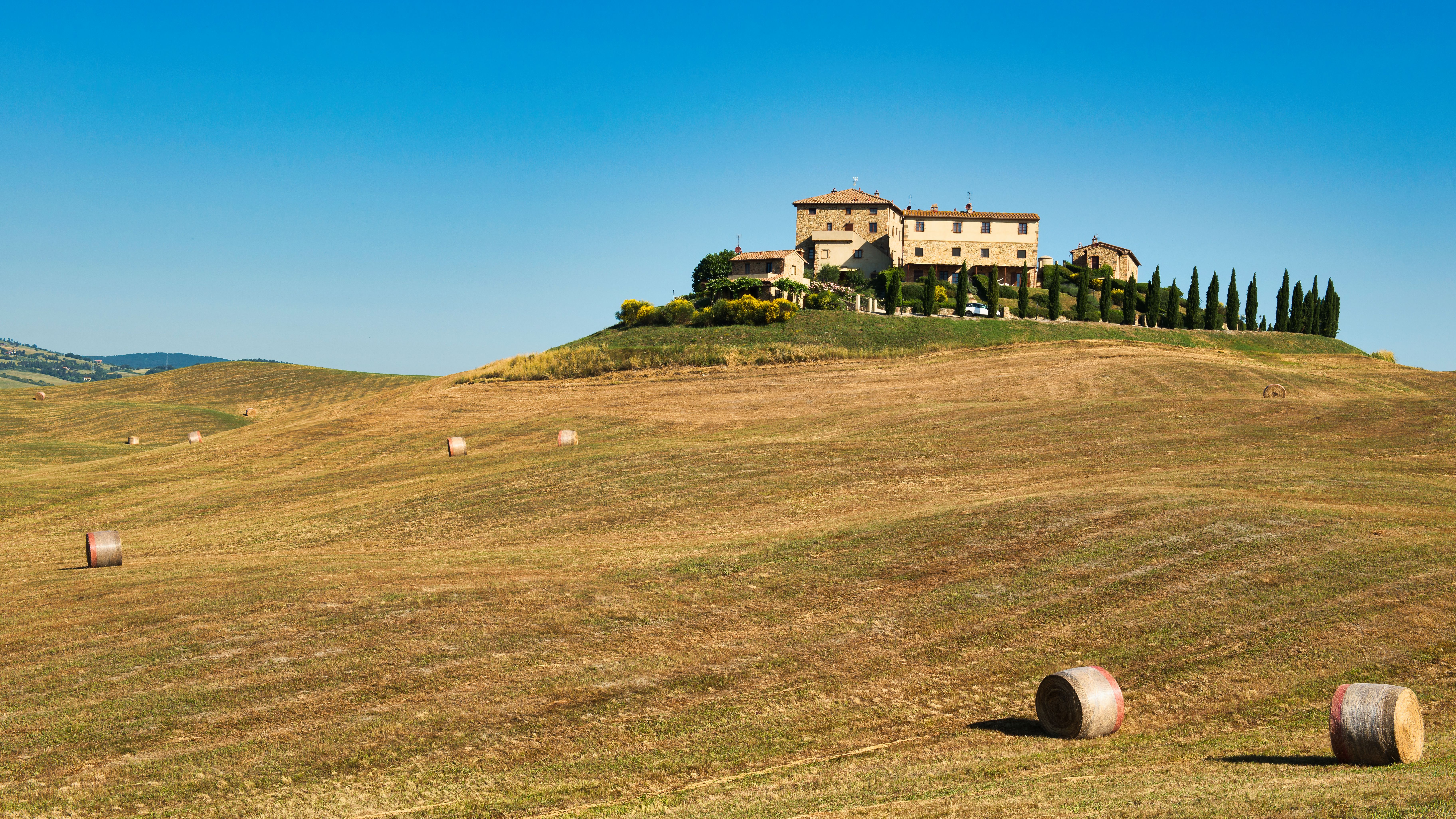 Nocciole Piemonte IGP Tostate