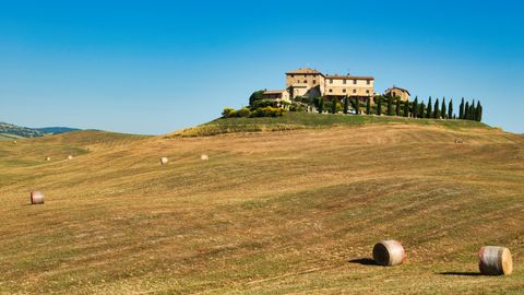 Nocciole Piemonte IGP Tostate