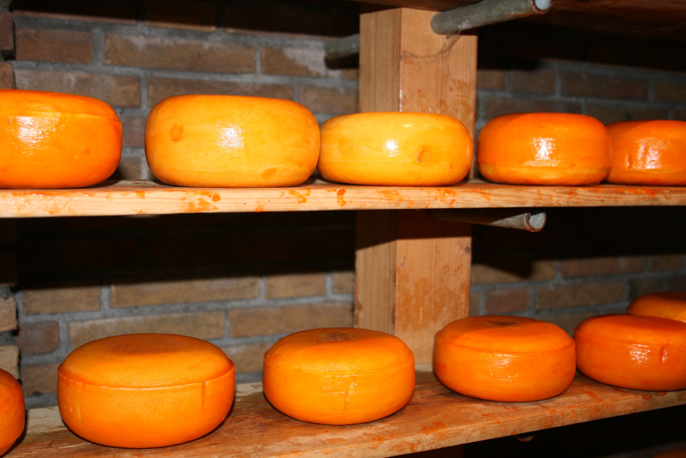 Pecorino Romano DOP