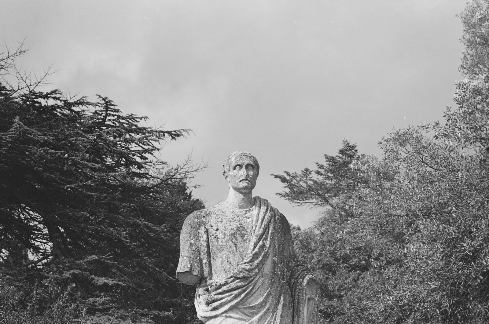 A black and white photo of an ancient Roman statue surrounded by trees, under a cloudy sky.