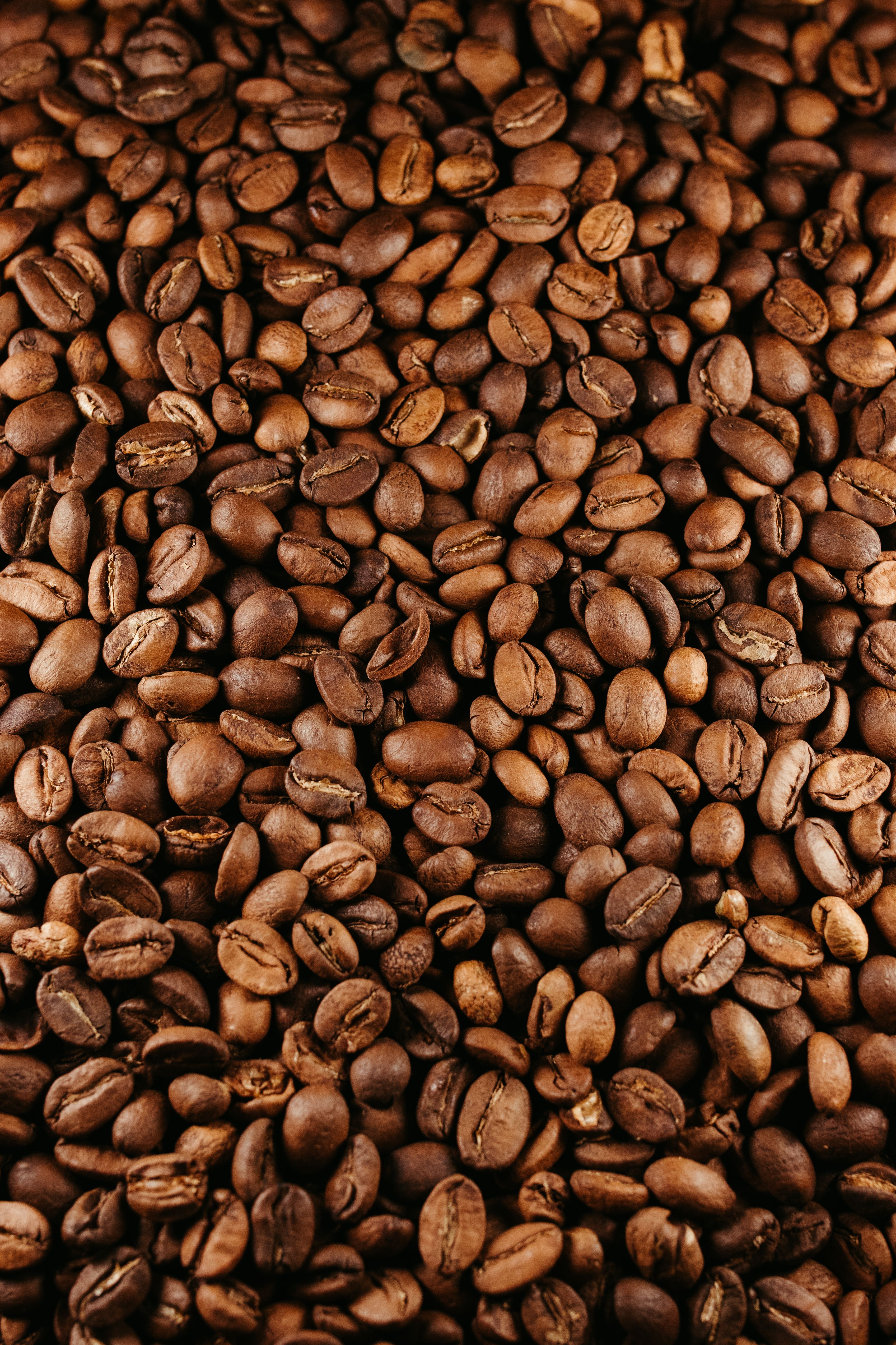 Espresso Bar Intenso in Grani 1kg — 4